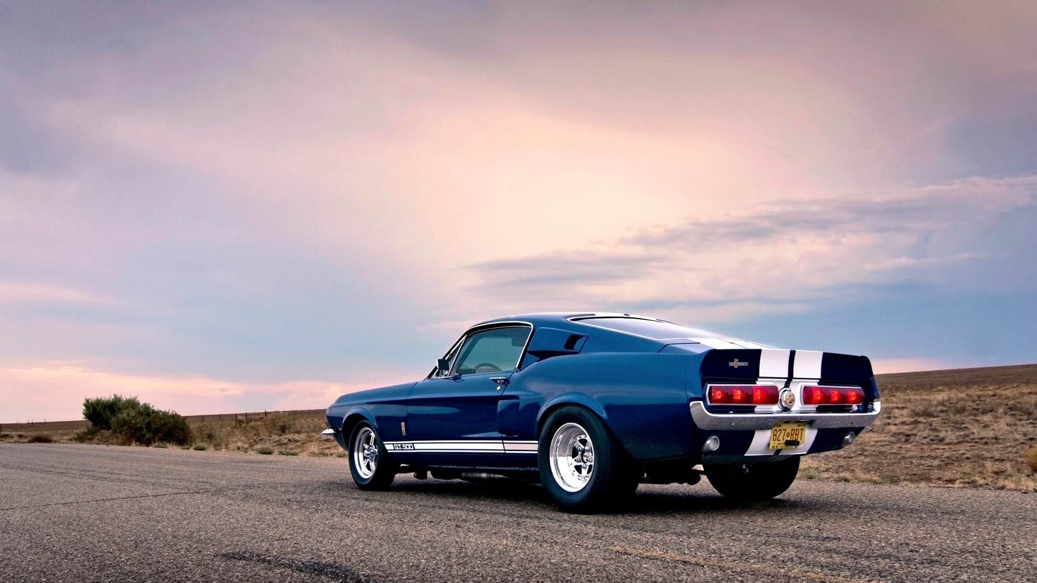 Ford Mustang Shelby бернаут