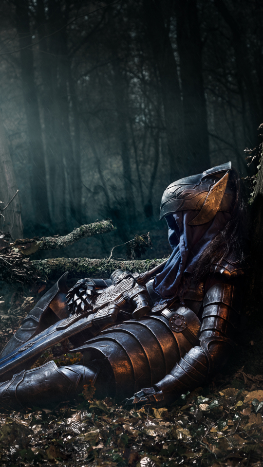 video game, dark souls, artorias (dark souls), forest, knight Smartphone Background