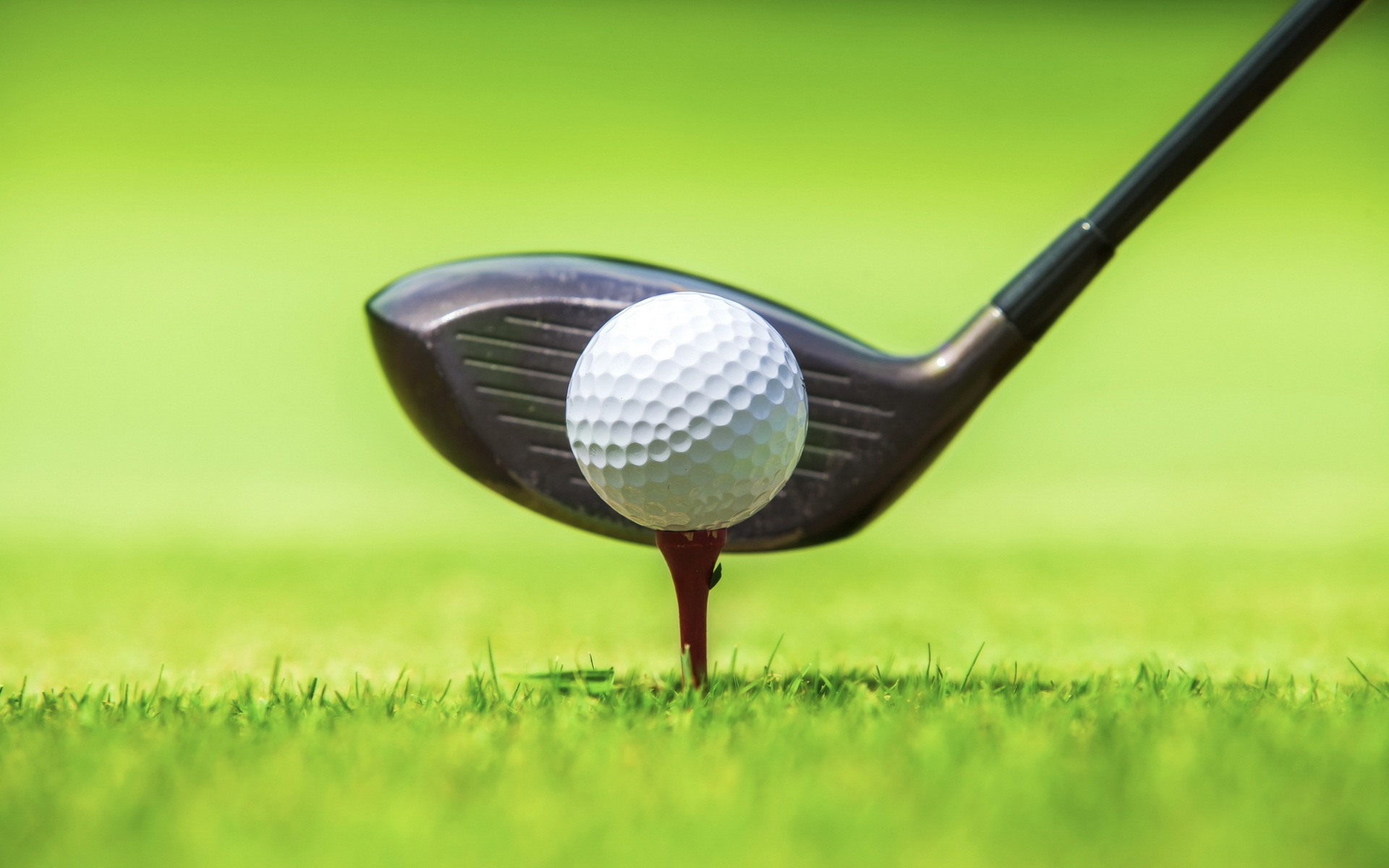 Golf balls clubs course greens players sand water HD phone wallpaper   Peakpx
