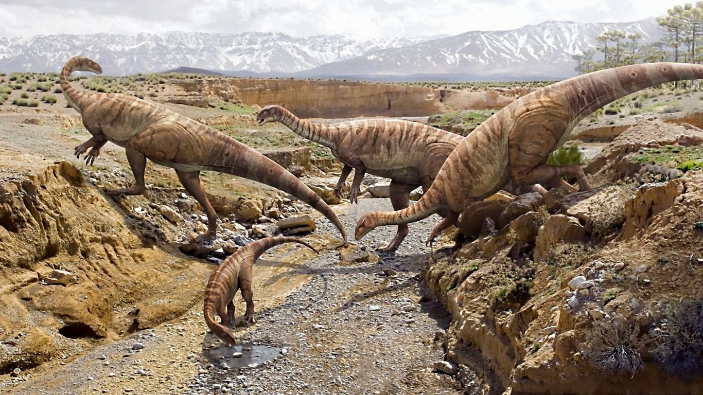dinosaurs, animal, dinosaur HD wallpaper