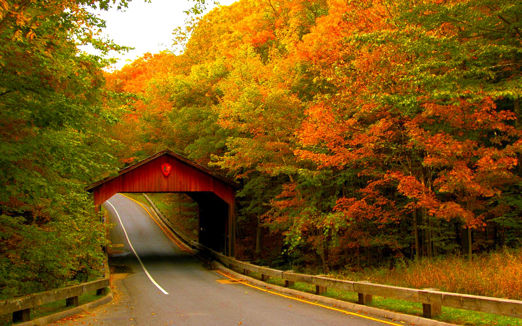 396480壁紙のダウンロードマンメイド, 覆われた橋, 秋, 道, ブリッジ-スクリーンセーバーと写真を無料で