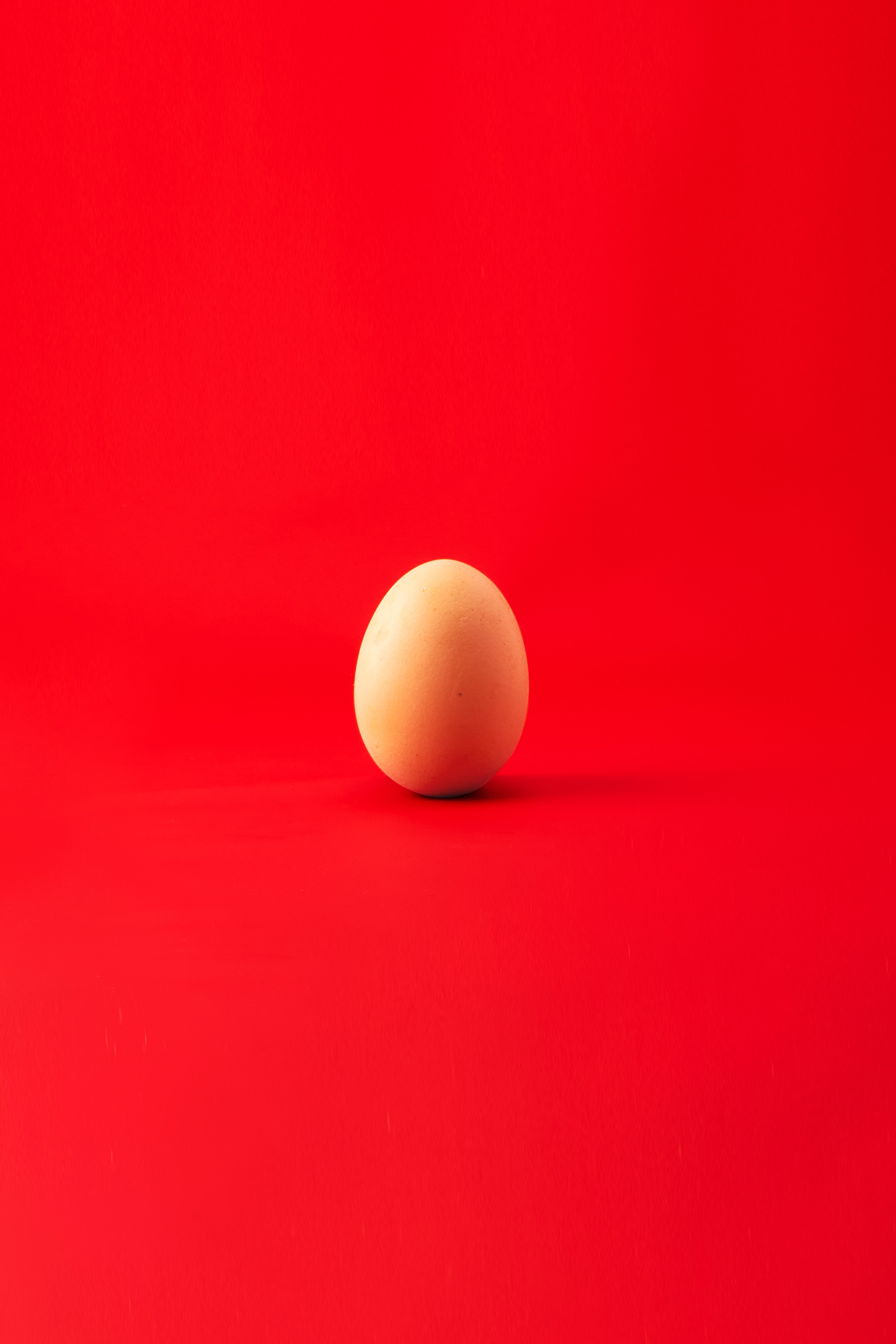 egg, minimalism, red, chicken egg lock screen backgrounds
