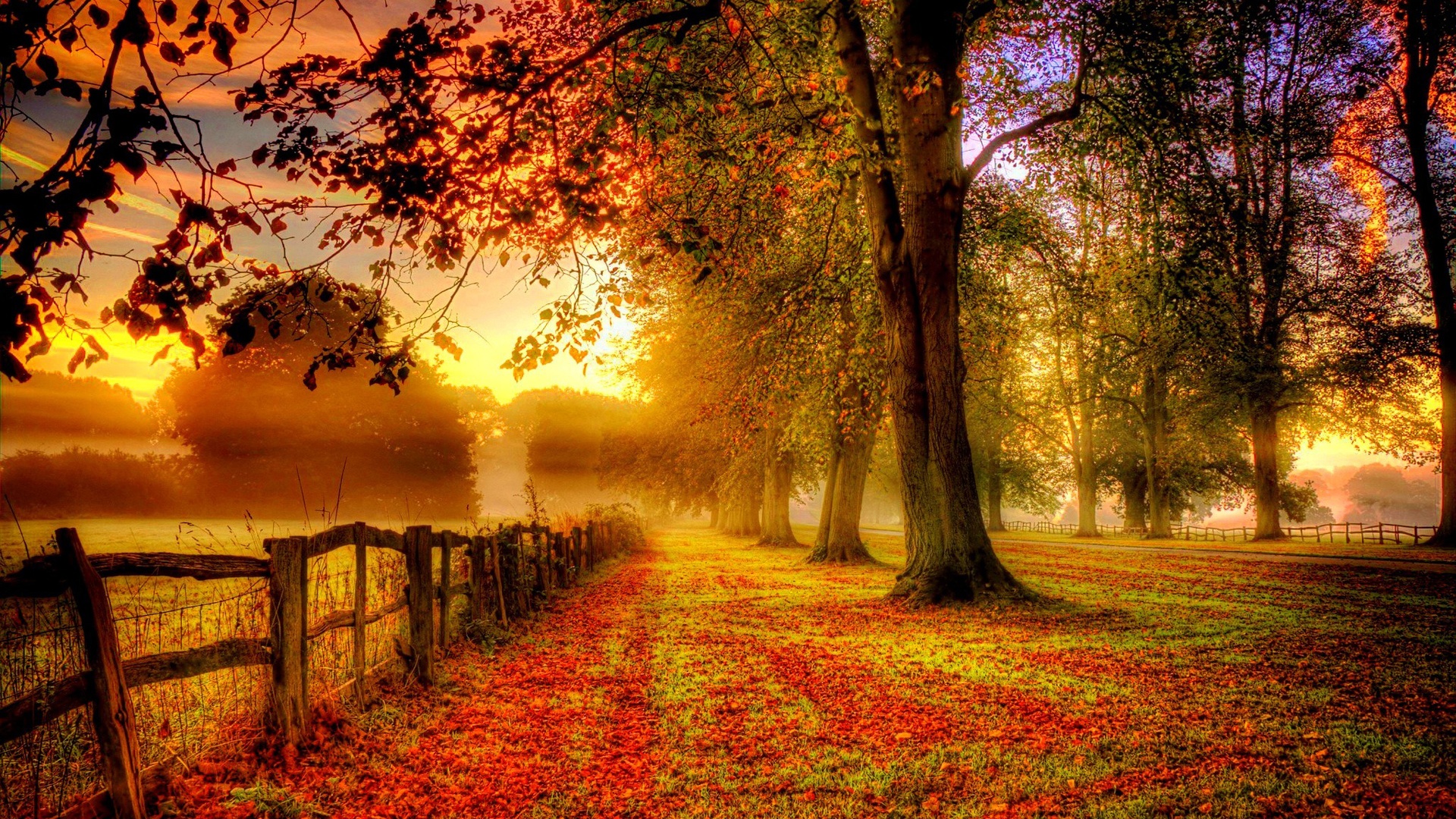 HD wallpaper hdr, photography, fall, fence