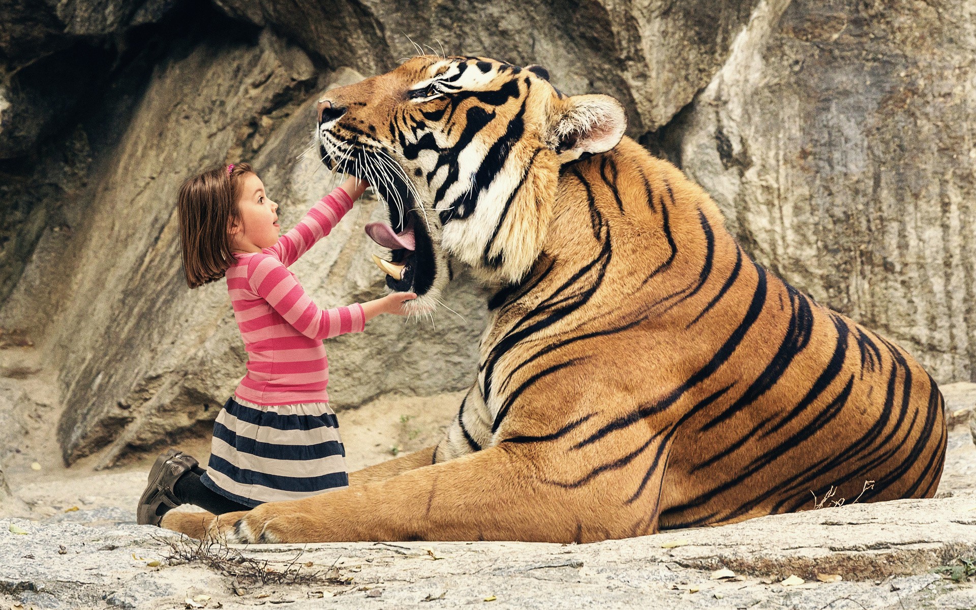 vertical wallpaper humor, animal, tiger, child, cats