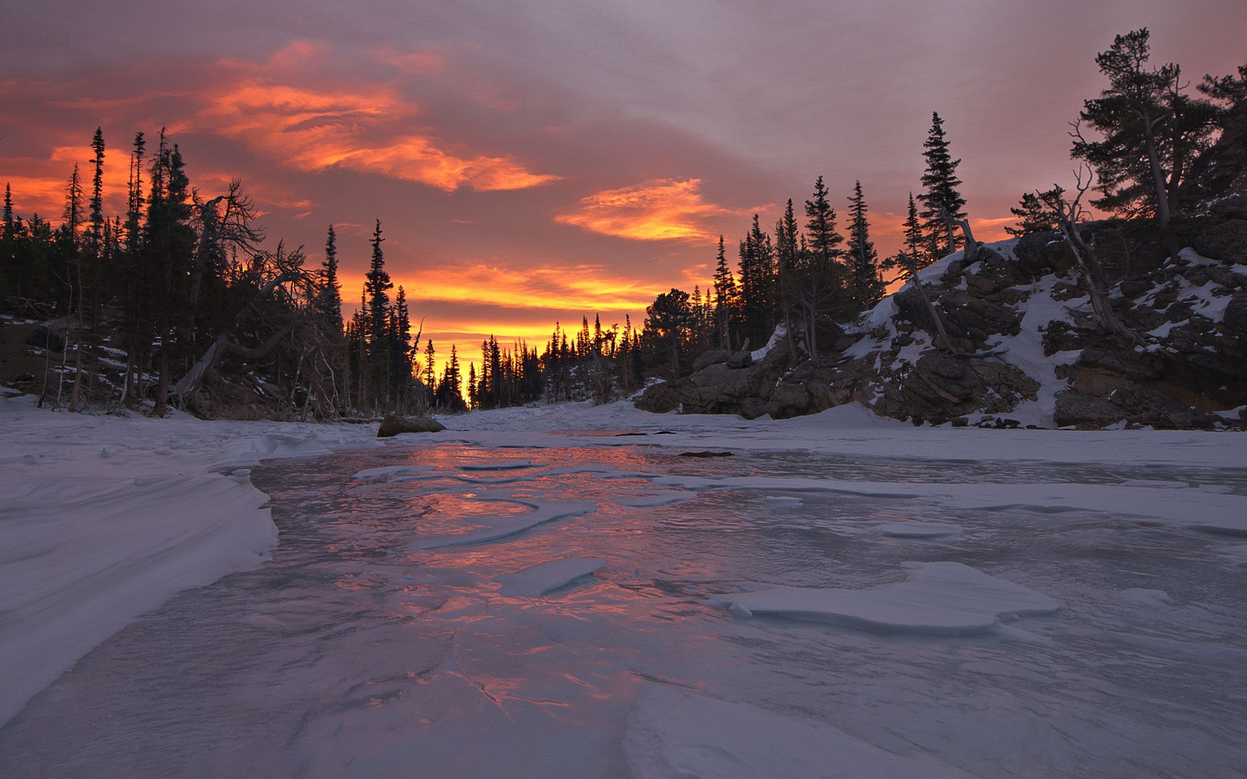 Laden Sie das Schnee, Bäume, Sunset, Sky, Natur-Bild kostenlos auf Ihren PC-Desktop herunter