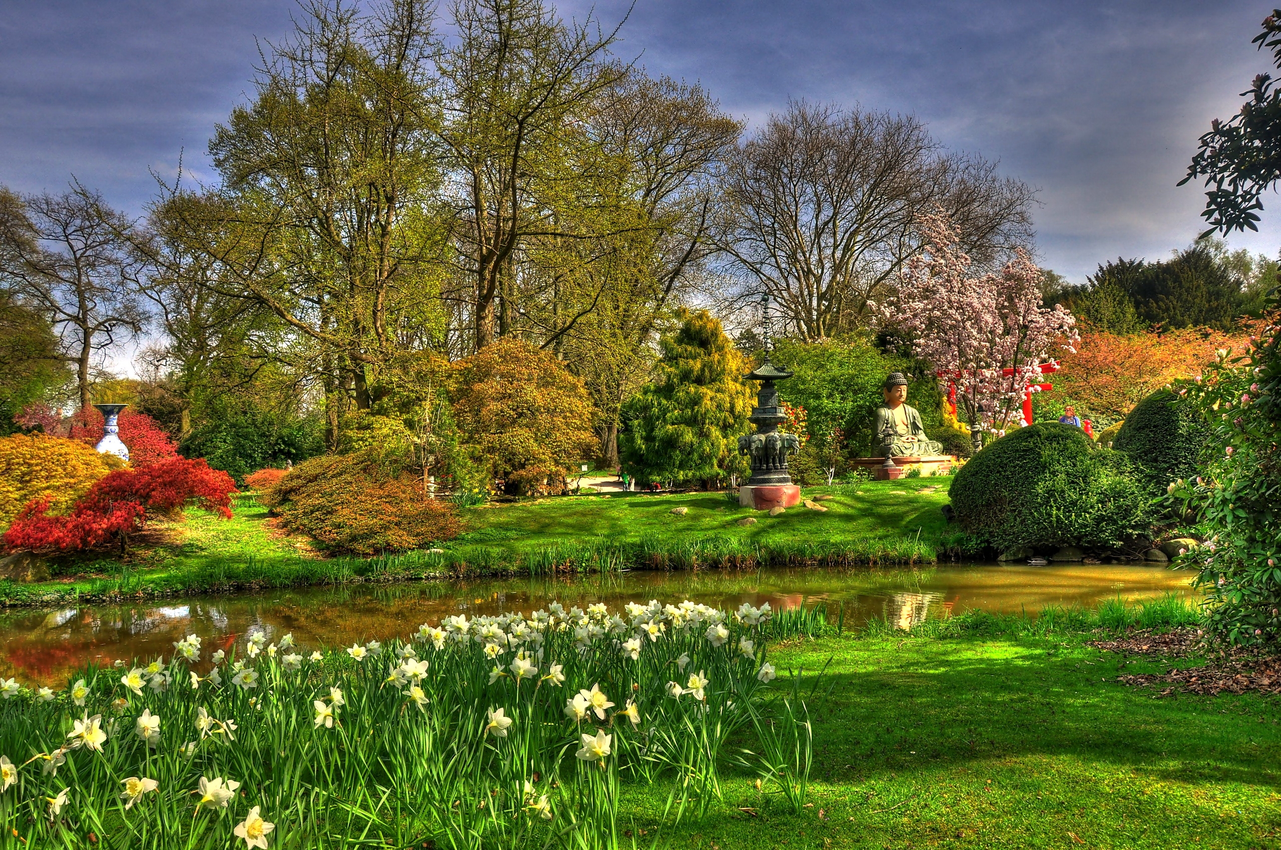 buddha, pond, nature, flowers, narcissussi, garden, statues