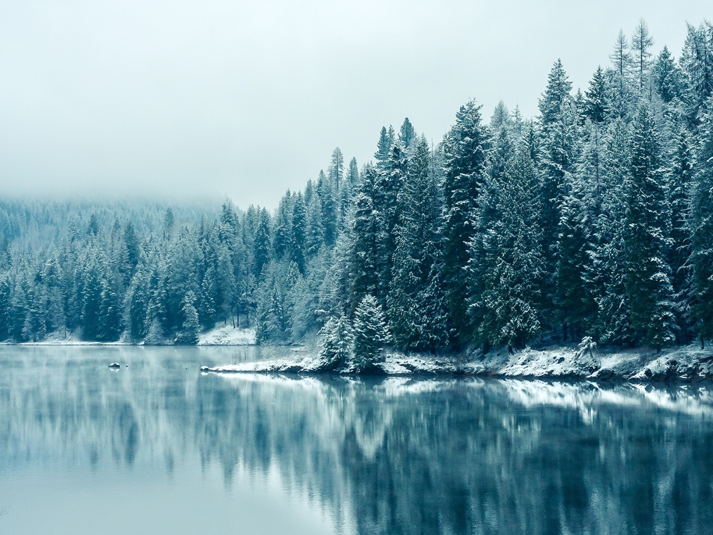 Handy-Wallpaper Winter, Flüsse, Bäume, Schnee, Landschaft, Tannenbaum kostenlos herunterladen.