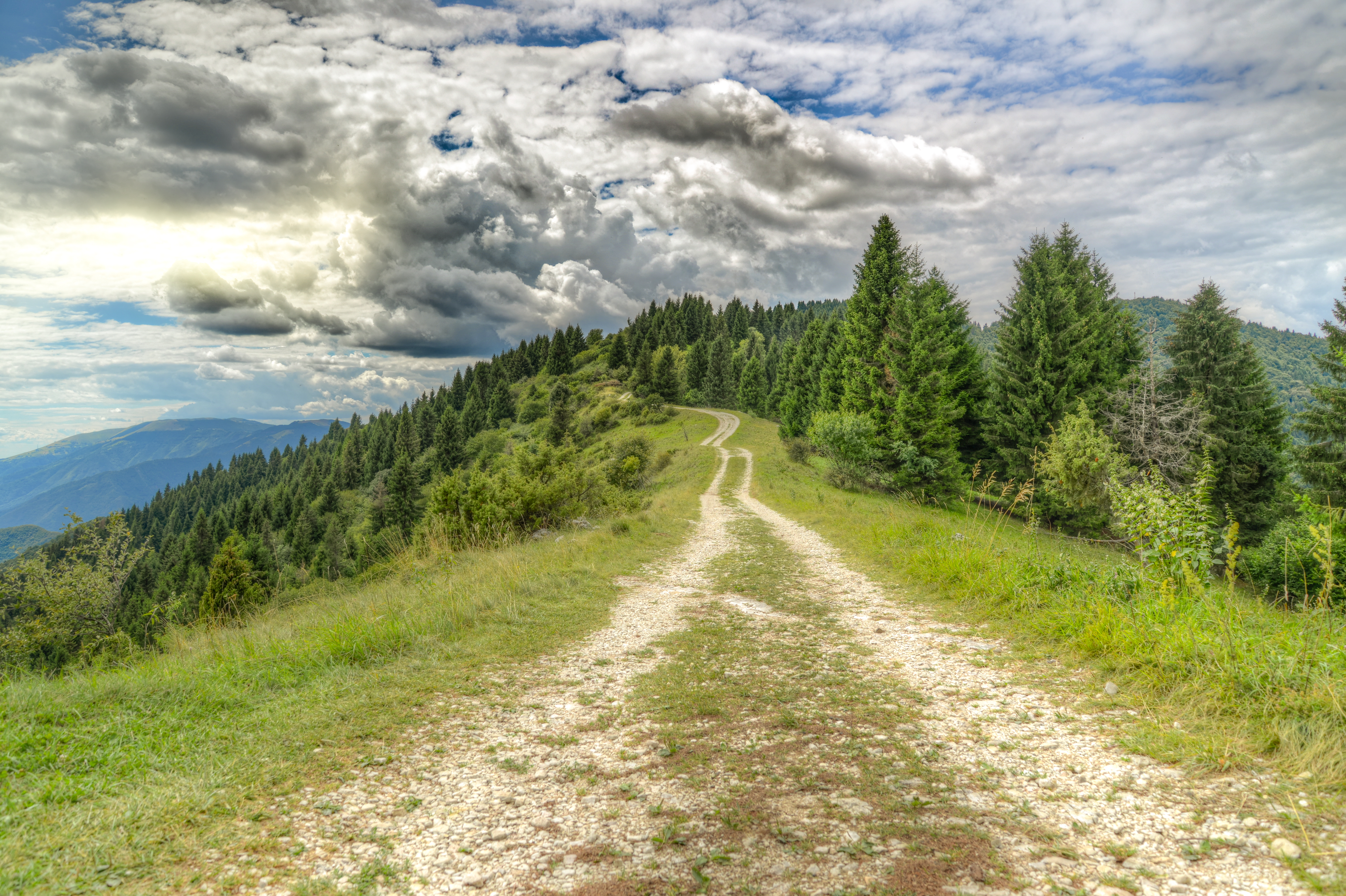 Download mobile wallpaper Dahl, Clouds, Forest, Distance, Road, Nature for free.