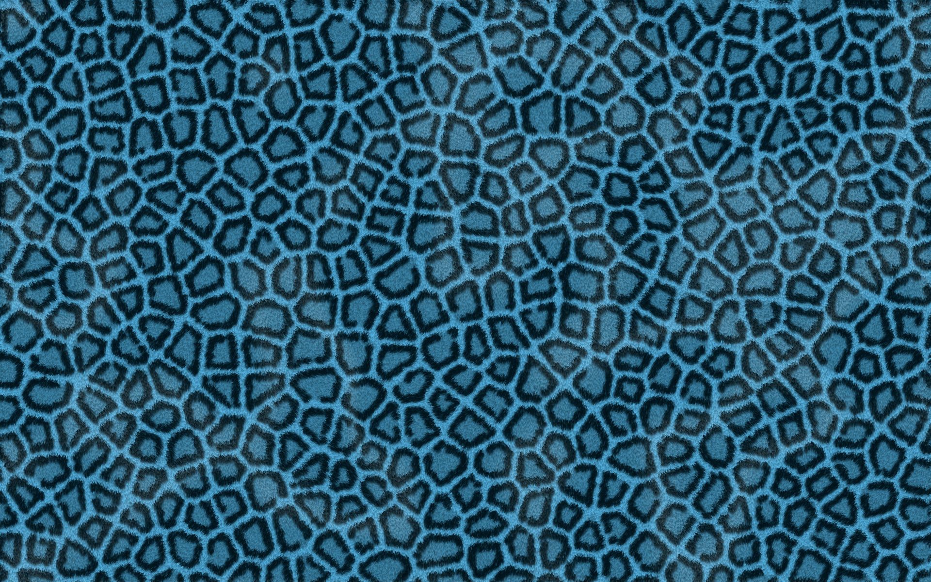 Download mobile wallpaper Leopard, Light Coloured, Light, Patterns, Texture, Textures, Skin for free.