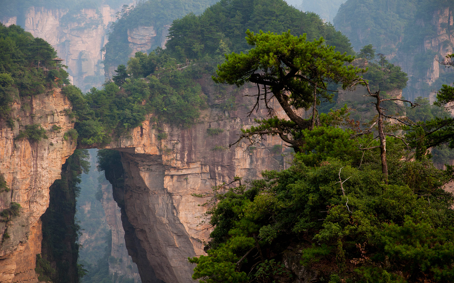 collection of best Zhangjiajie National Forest Park HD wallpaper