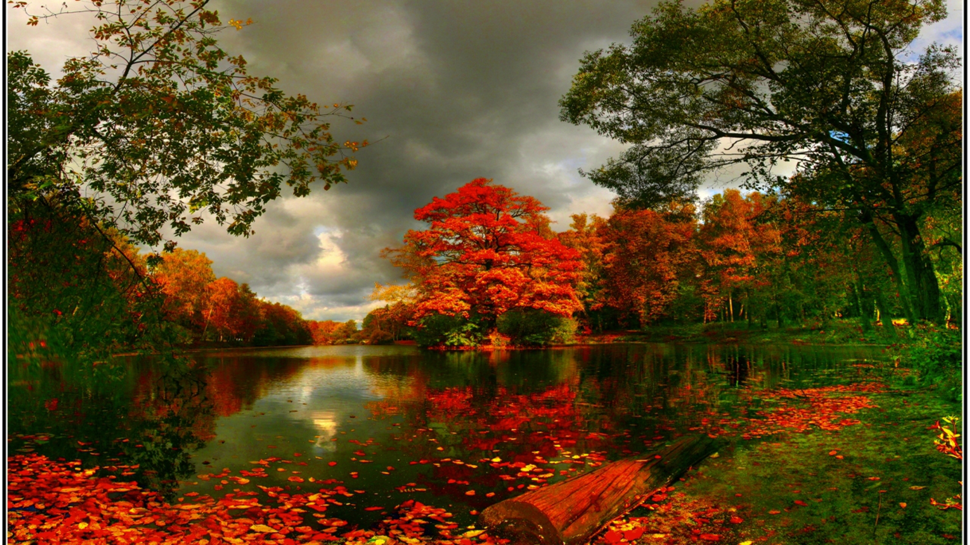 pond, earth, fall, nature, tree