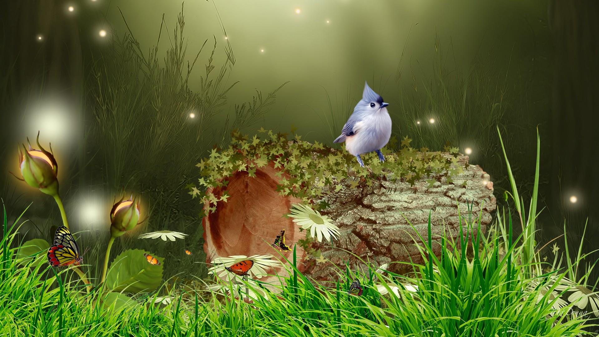 artistic, forest, bird, bluebird, fantasy, grass, log, sparkles HD wallpaper