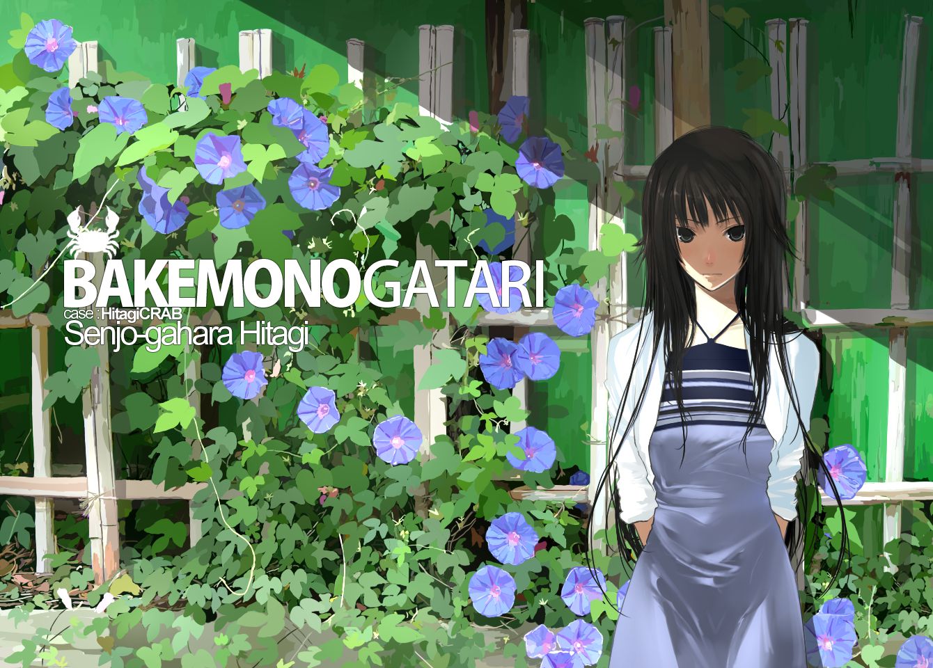 wallpapers anime, monogatari (series), bakemonogatari, black hair, hitagi senjōgahara