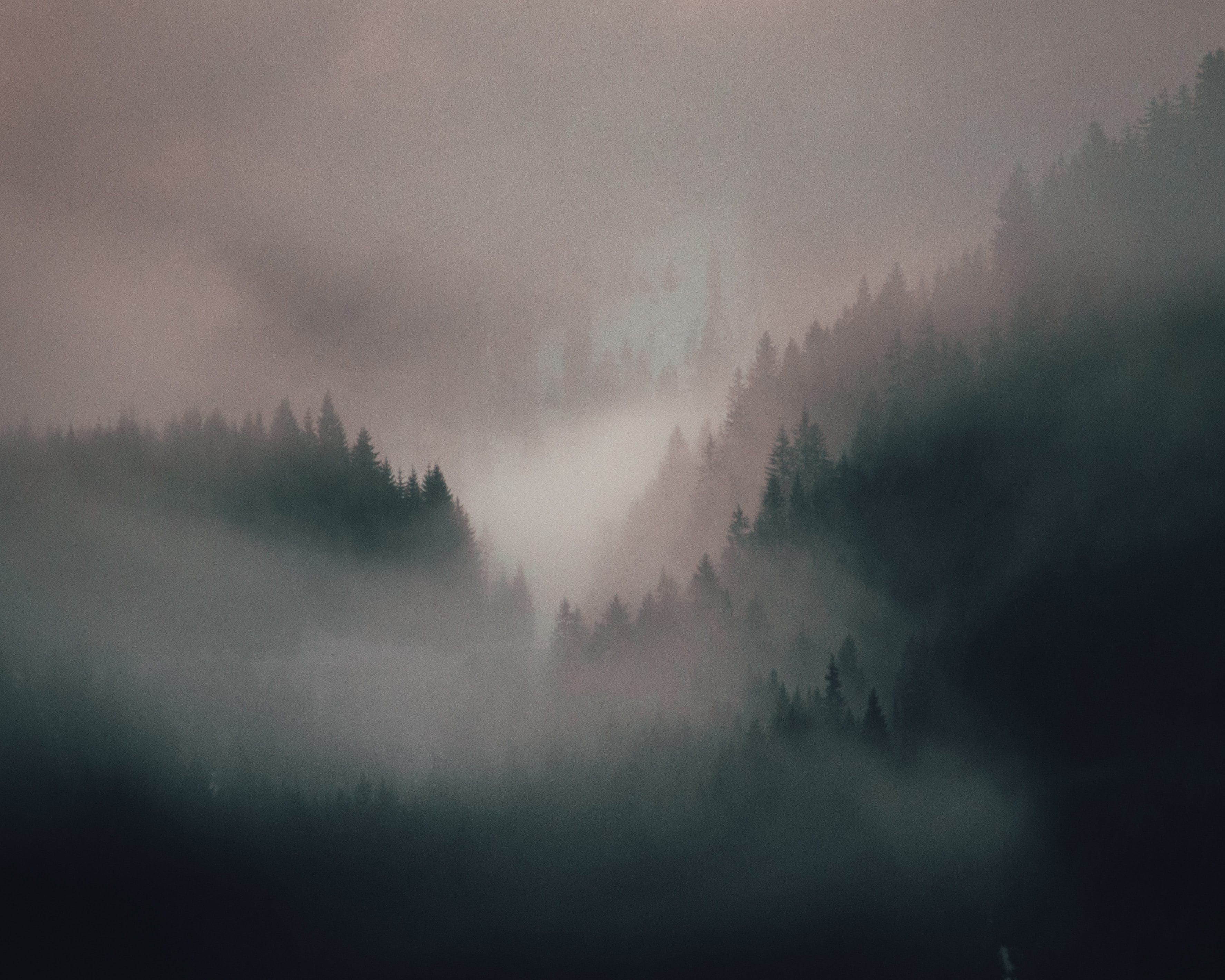 Download mobile wallpaper Trees, Forest, Fog, Nature, Hills for free.