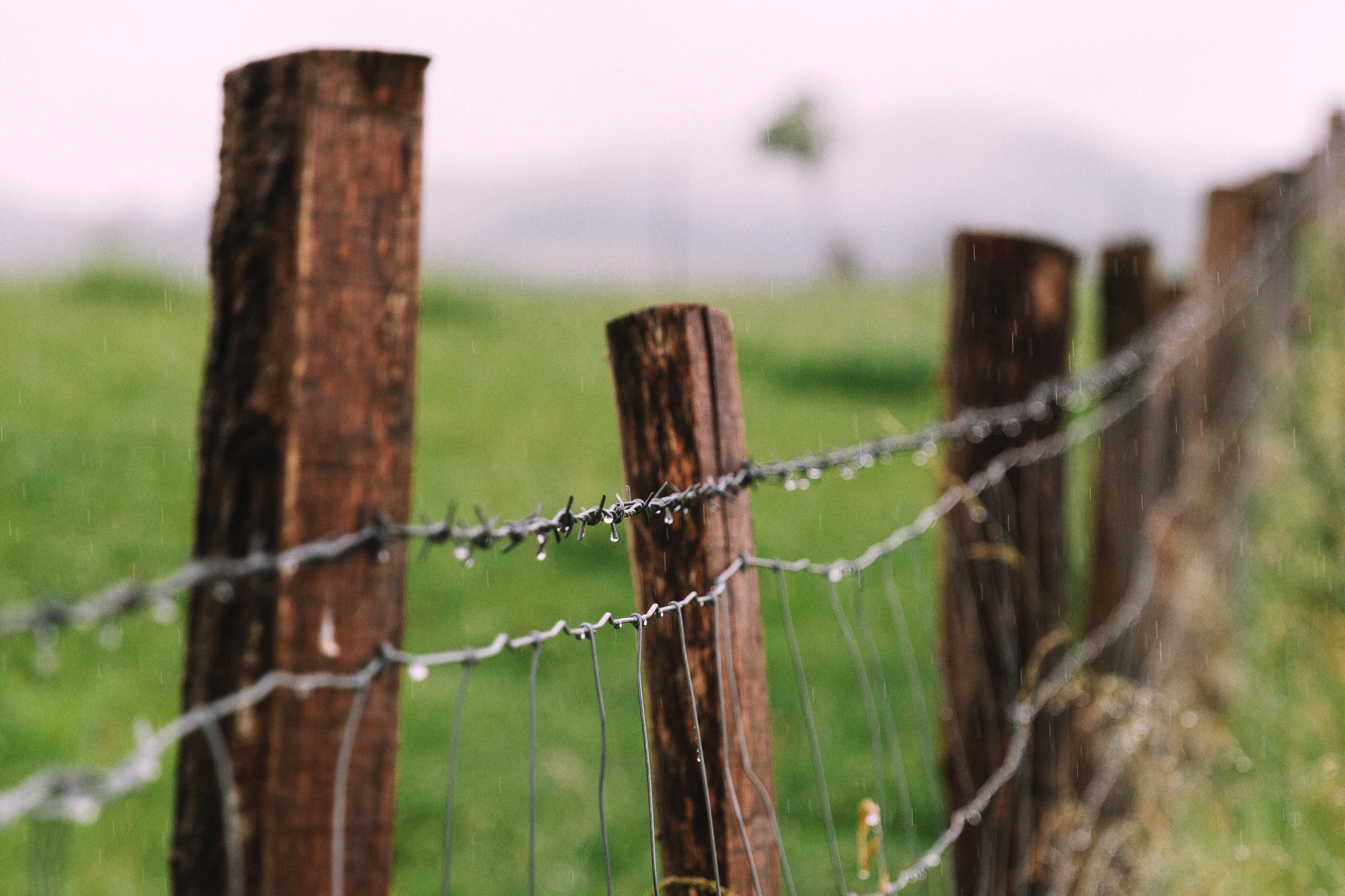 Download mobile wallpaper Barbed Wire, Fence, Miscellaneous, Miscellanea, Drops for free.