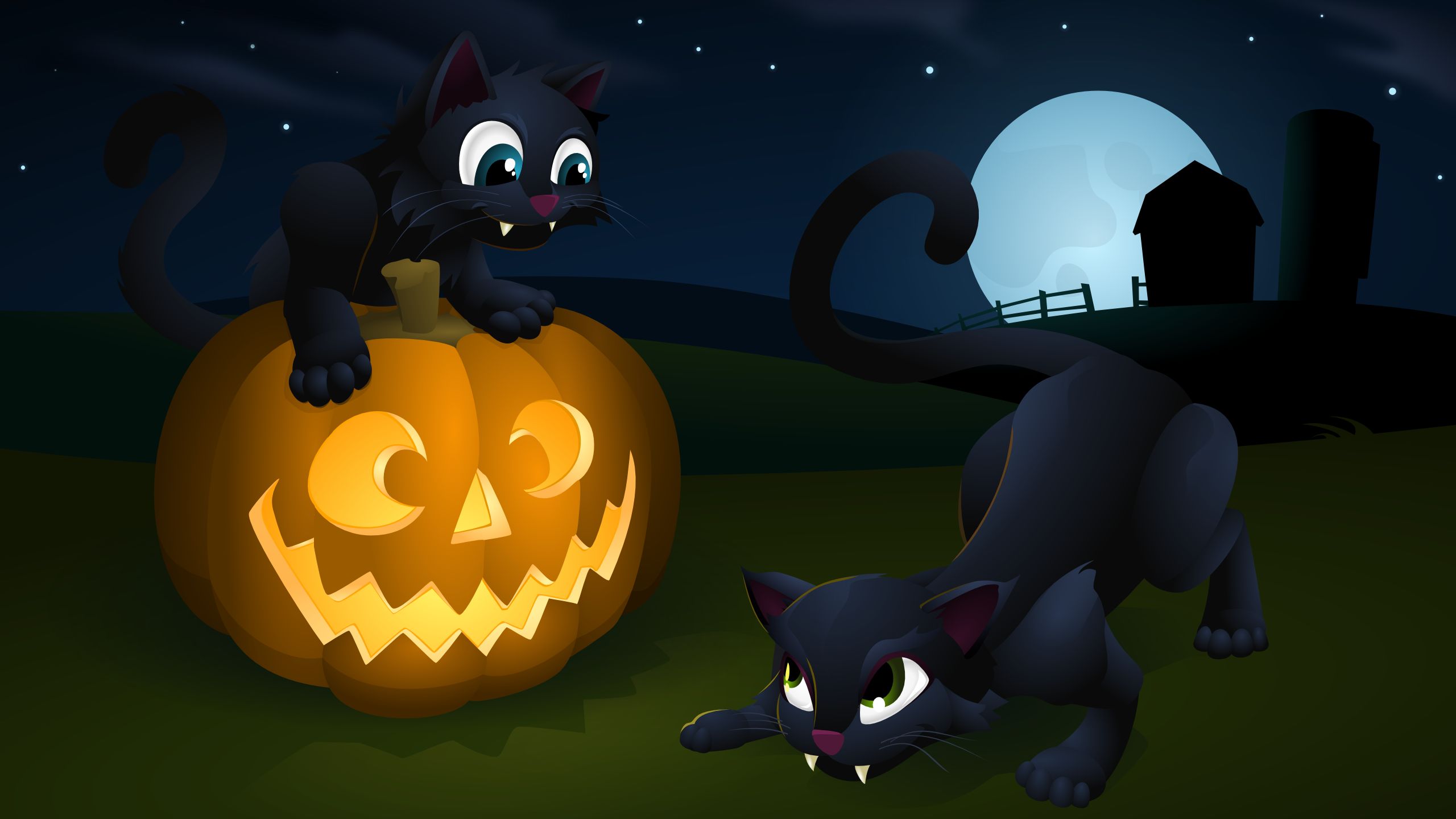 holiday, halloween, cat, full moon, jack o' lantern 4K