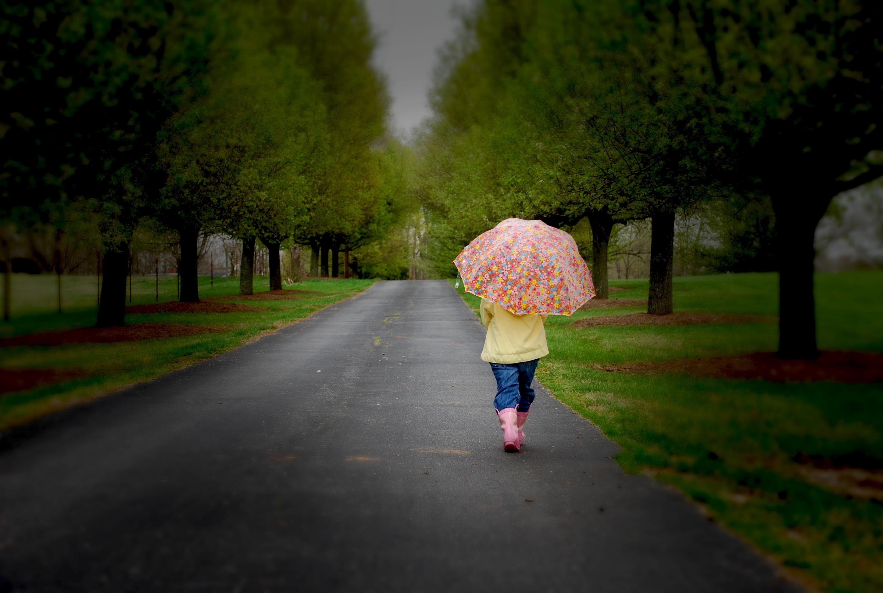 park, wood, miscellanea, miscellaneous, road, tree, stroll, overcast, mainly cloudy, umbrella 2160p
