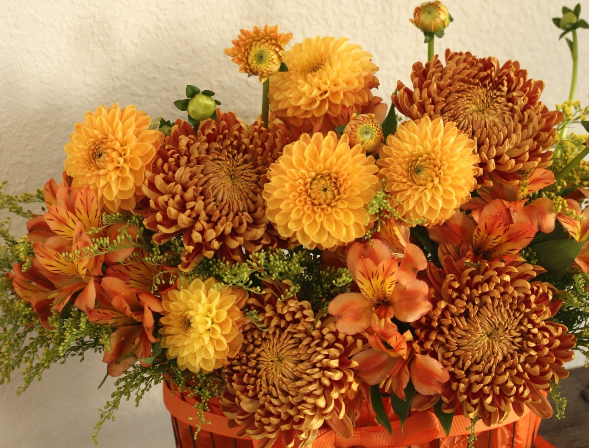 Free HD flowers, chrysanthemum, bright, alstroemeria, composition