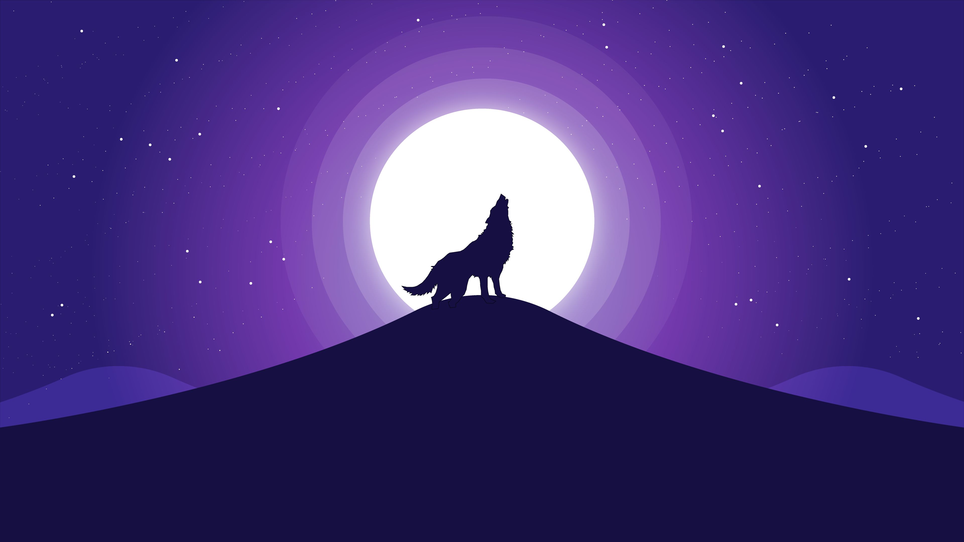 wolf, illustration, animal, artistic, night, vector 32K