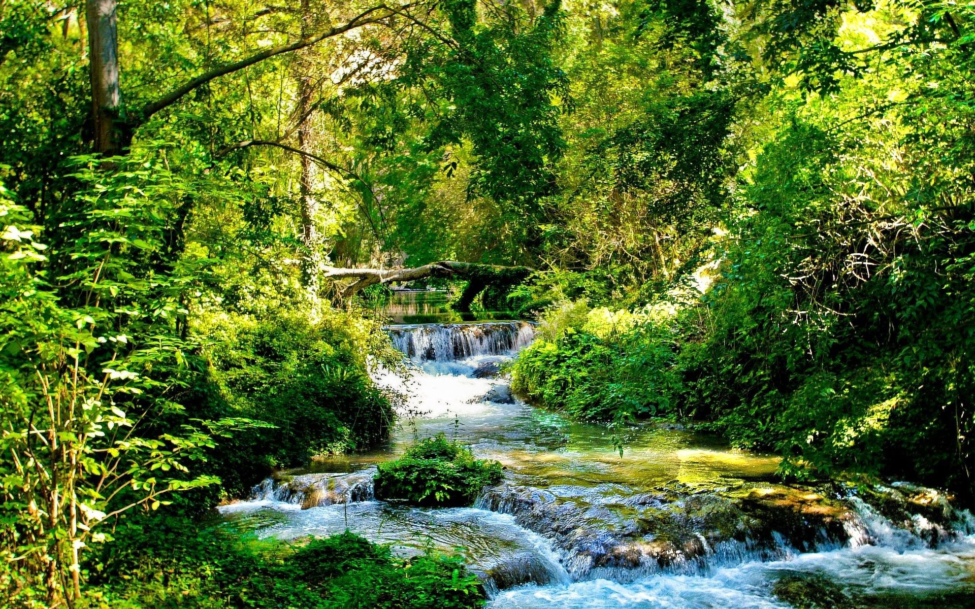 wallpapers rivers, streams, green, nature, trees, shine, light, forest, branches, cascades, creek, brook, sunny, flows