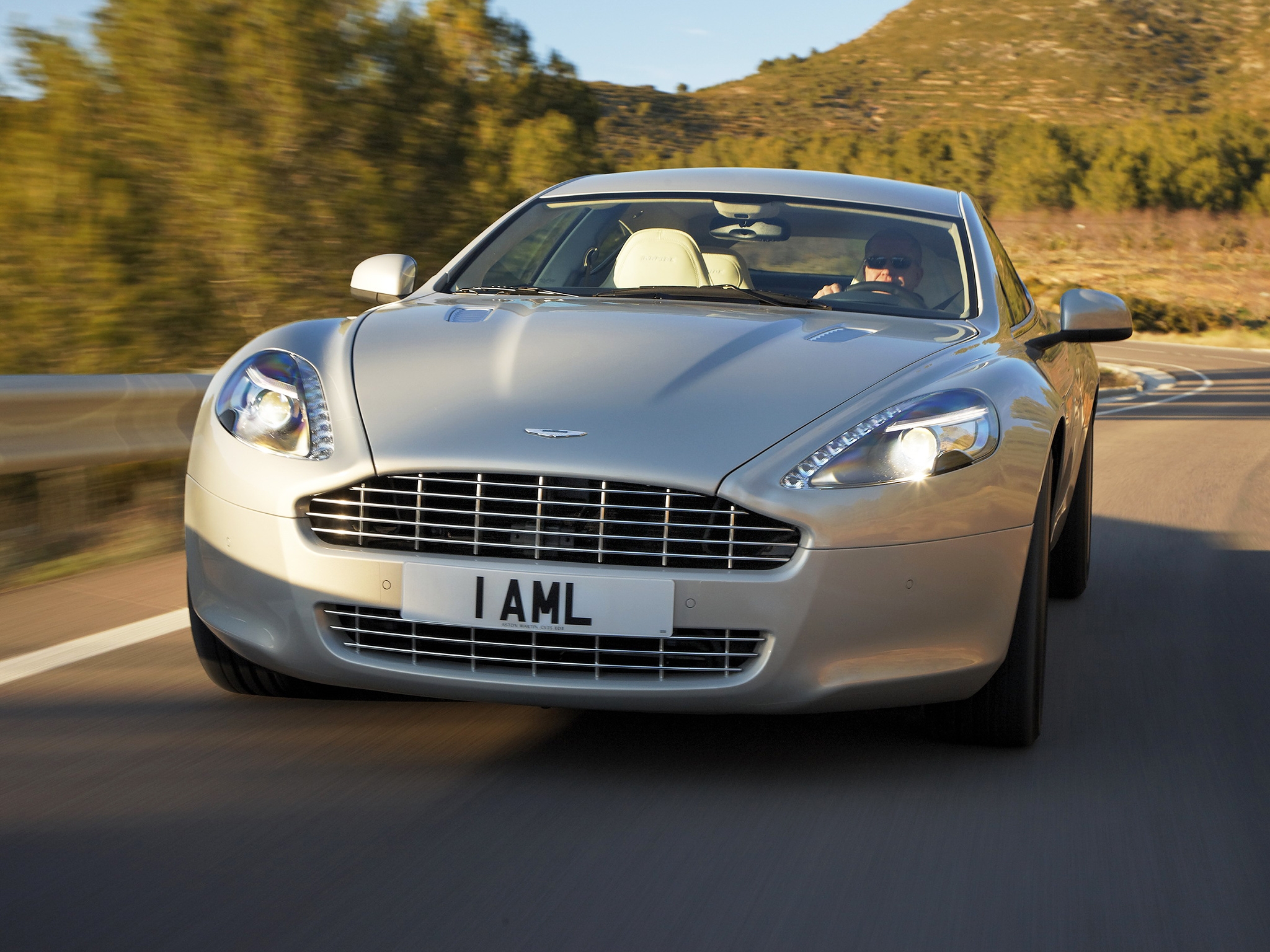 trees, auto, aston martin, cars, front view, 2009, silver, rapide 1080p