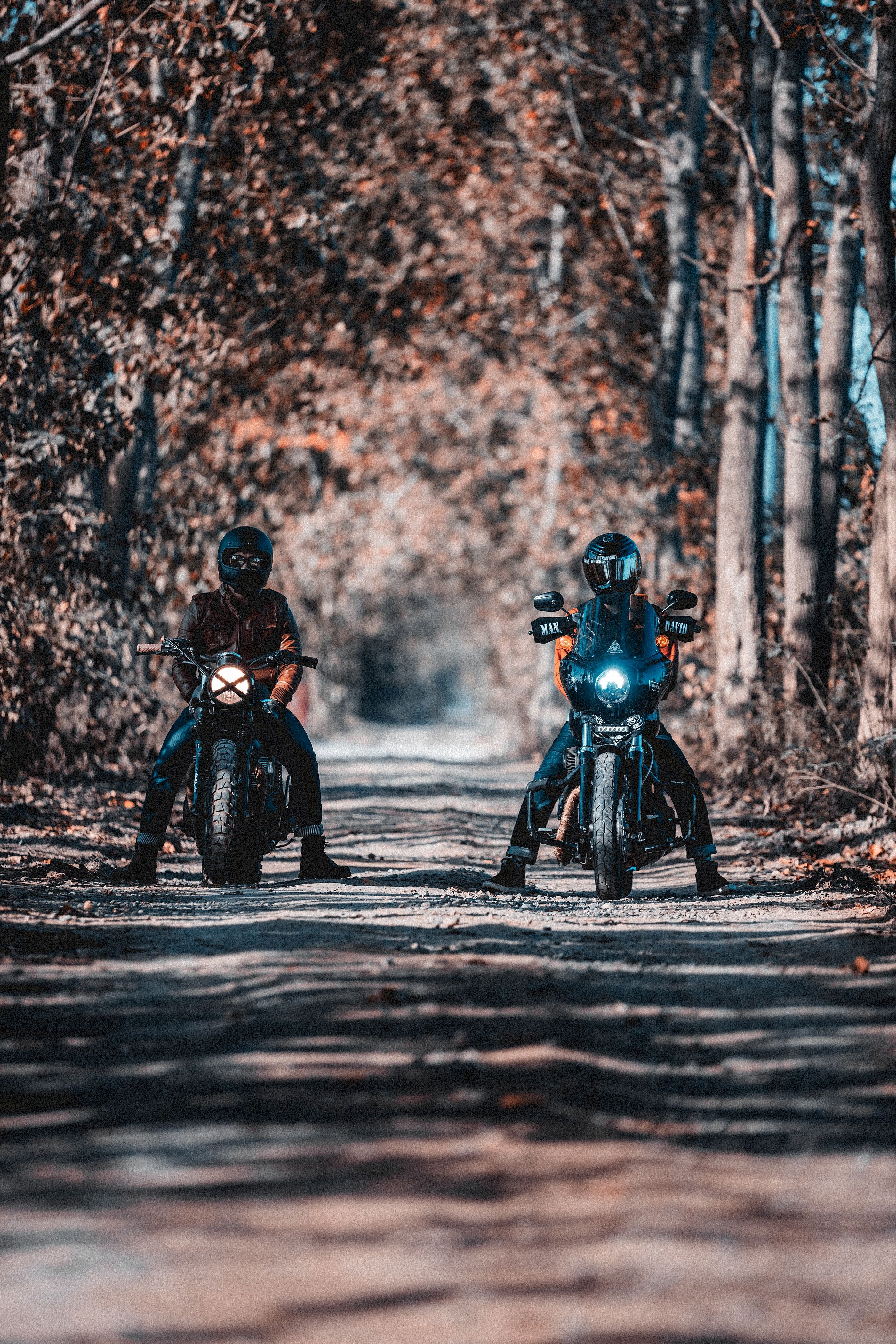90086 descargar fondo de pantalla motocicletas, camino, bosque, motocicleta, bicicleta, ciclistas, motociclistas: protectores de pantalla e imágenes gratis