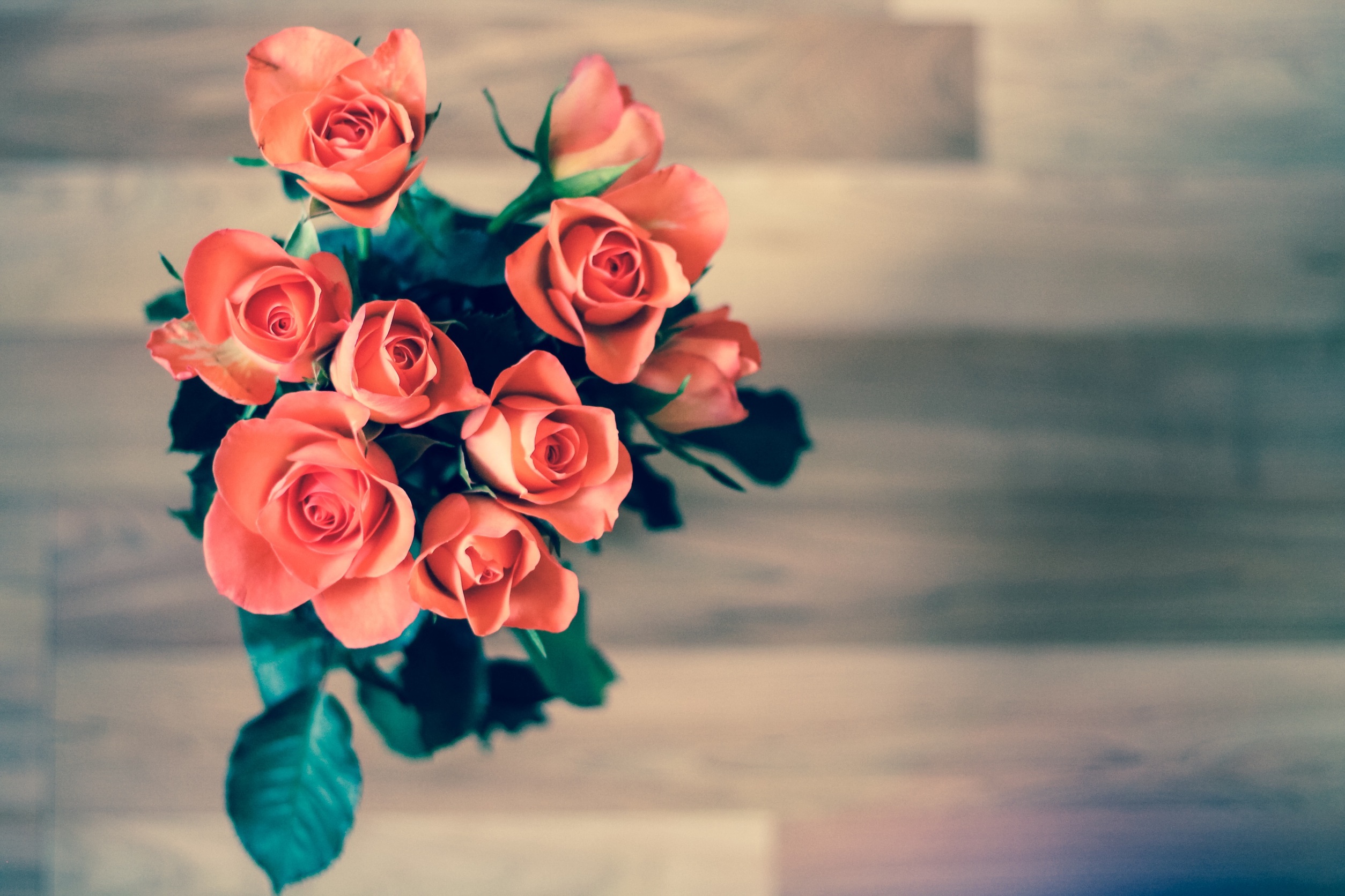 Download mobile wallpaper Bouquet, Buds, Leaves, Flowers, Roses for free.