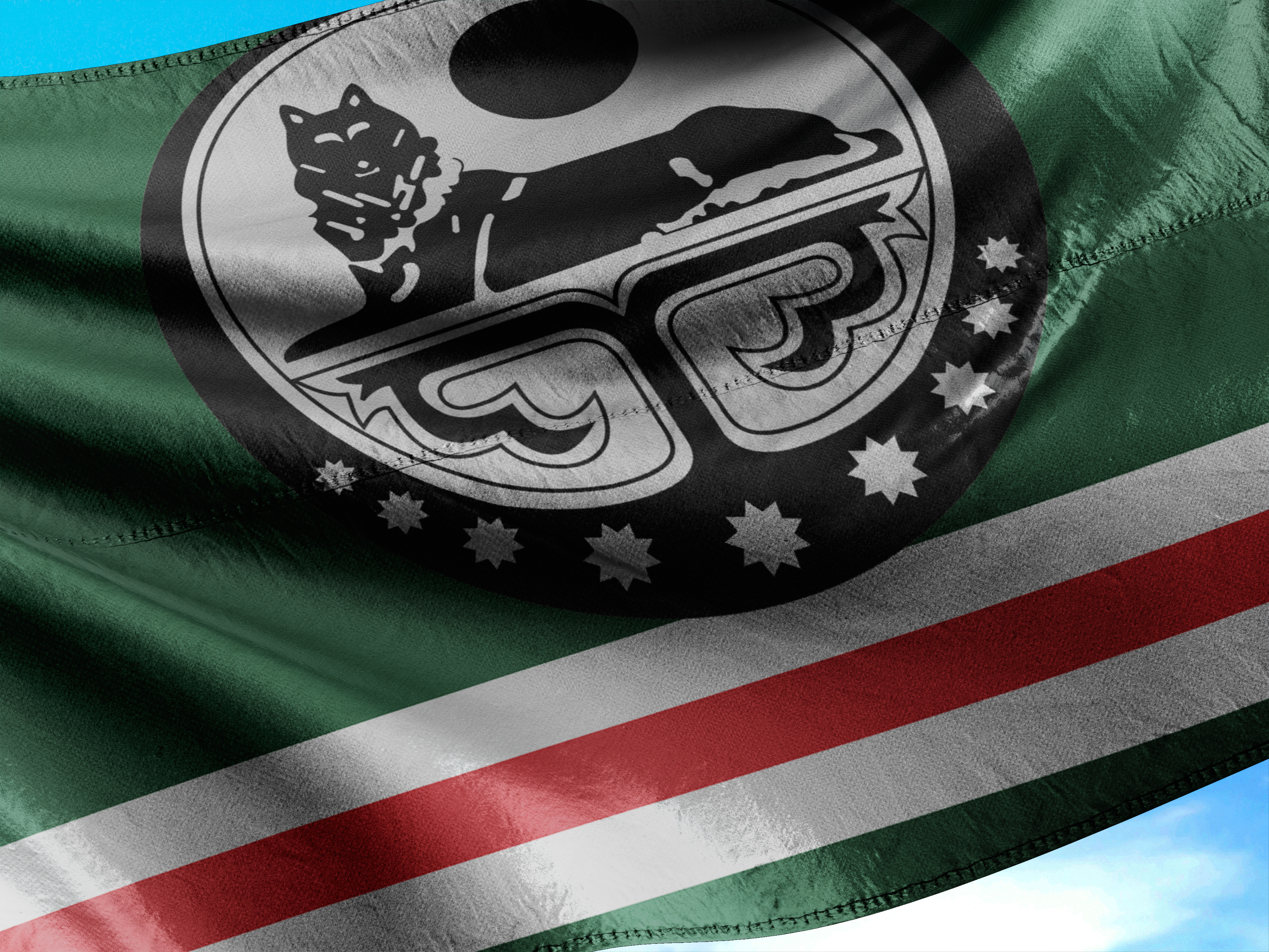 Download mobile wallpaper Misc, Flag Of Chechnya for free.