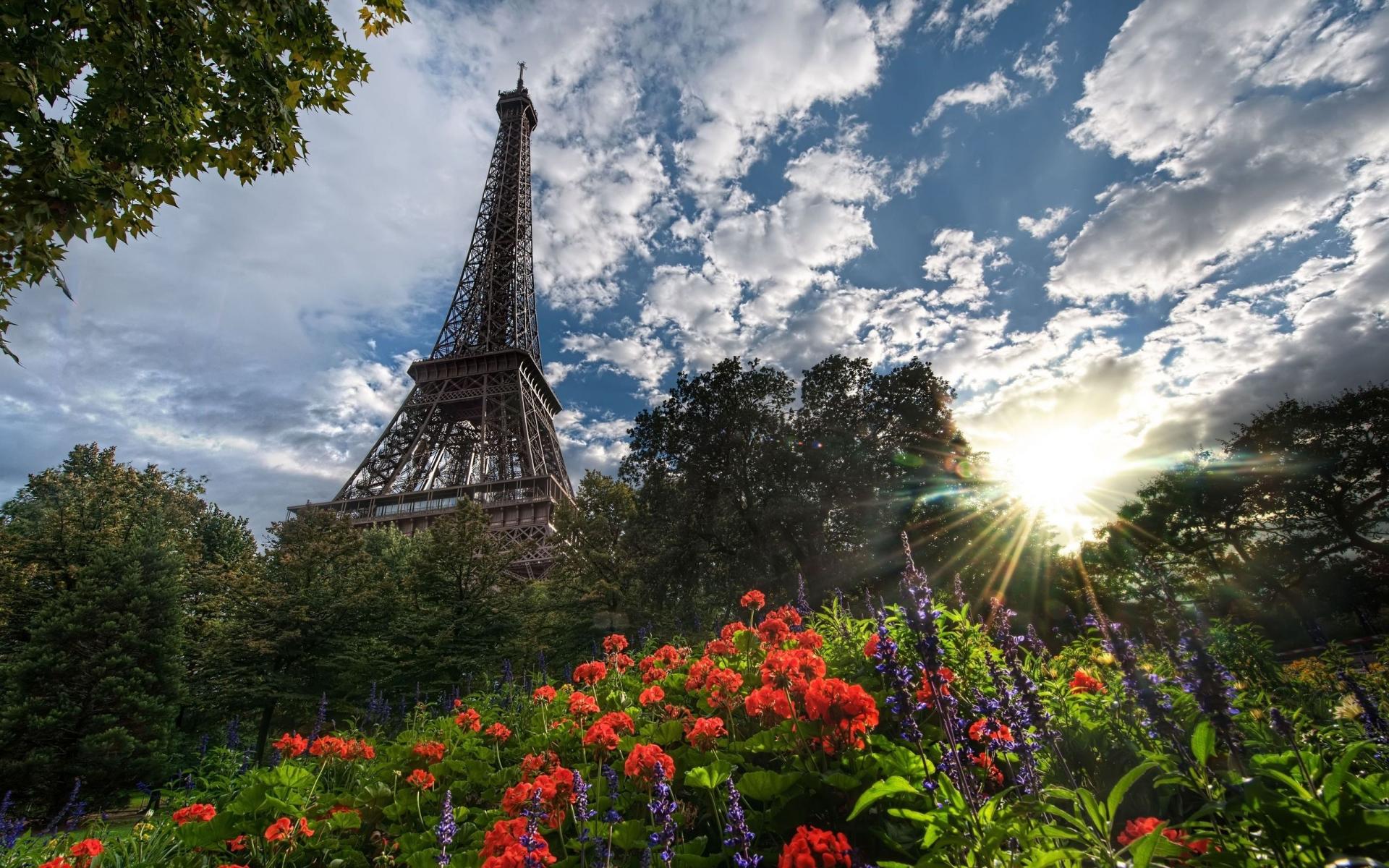 1466110 économiseurs d'écran et fonds d'écran Tour Eiffel sur votre téléphone. Téléchargez  images gratuitement