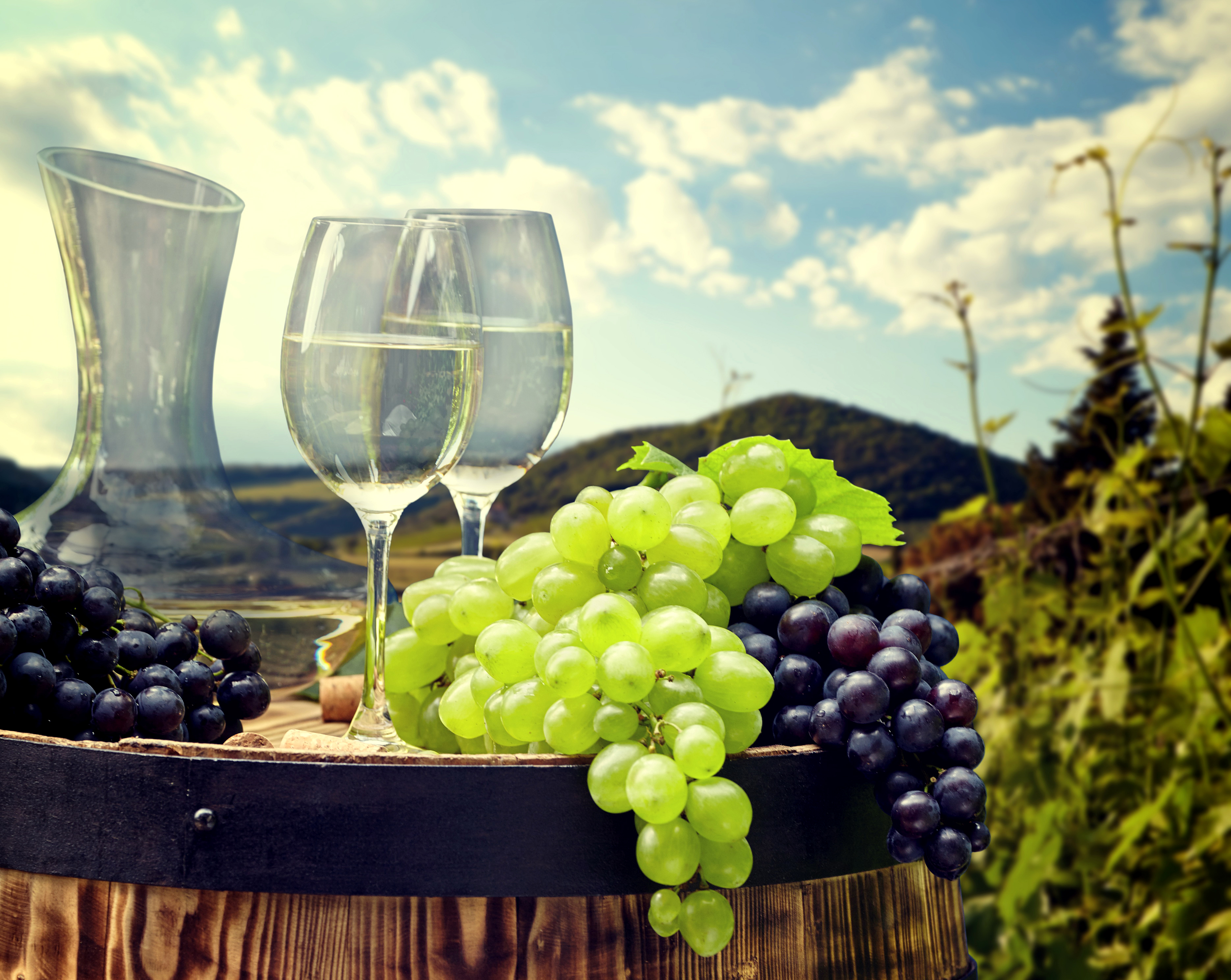 Армения виноград гроздь вино