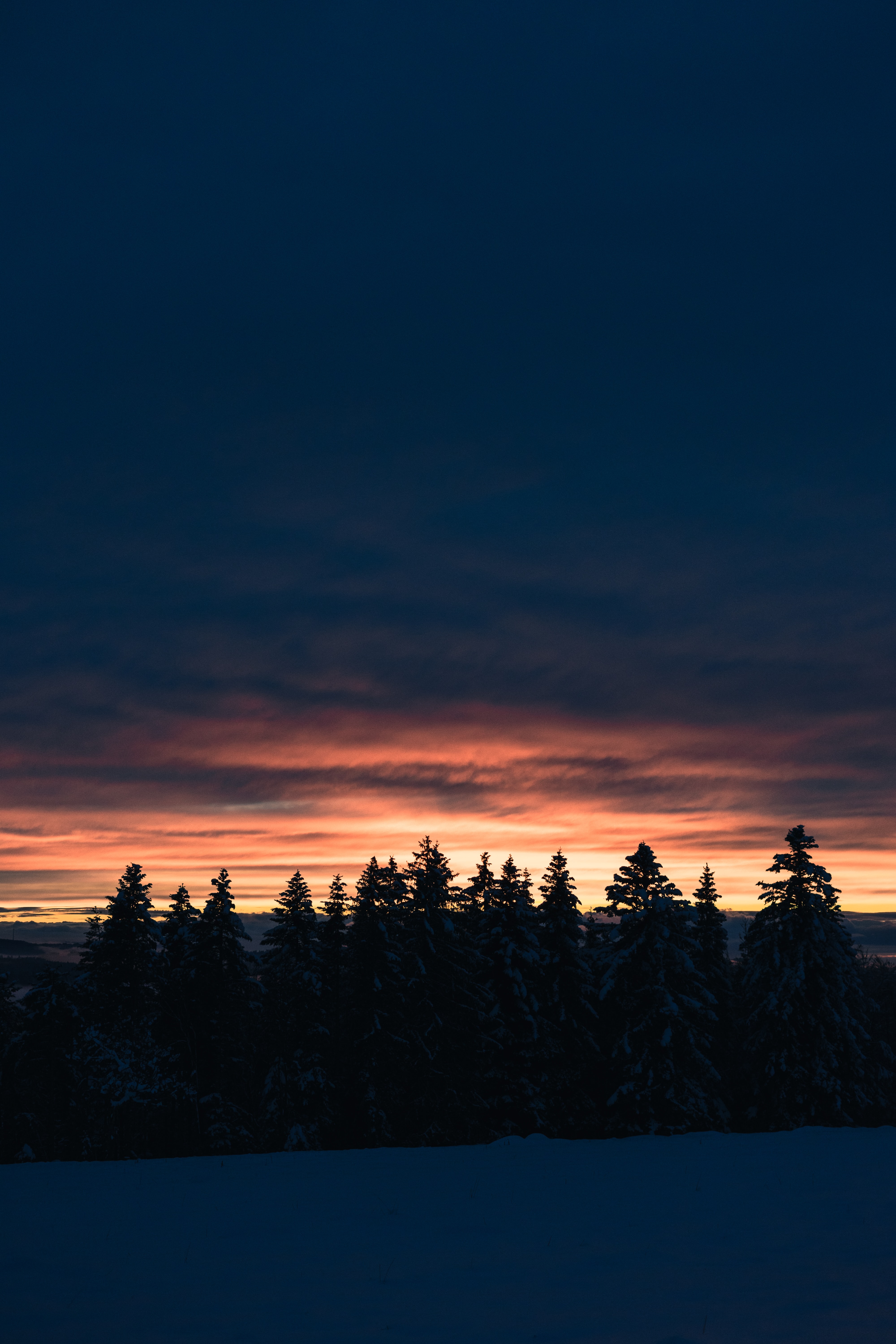 Handy-Wallpaper Sunset, Schnee, Dämmerung, Twilight, Winter, Natur, Bäume, Tannenbaum kostenlos herunterladen.
