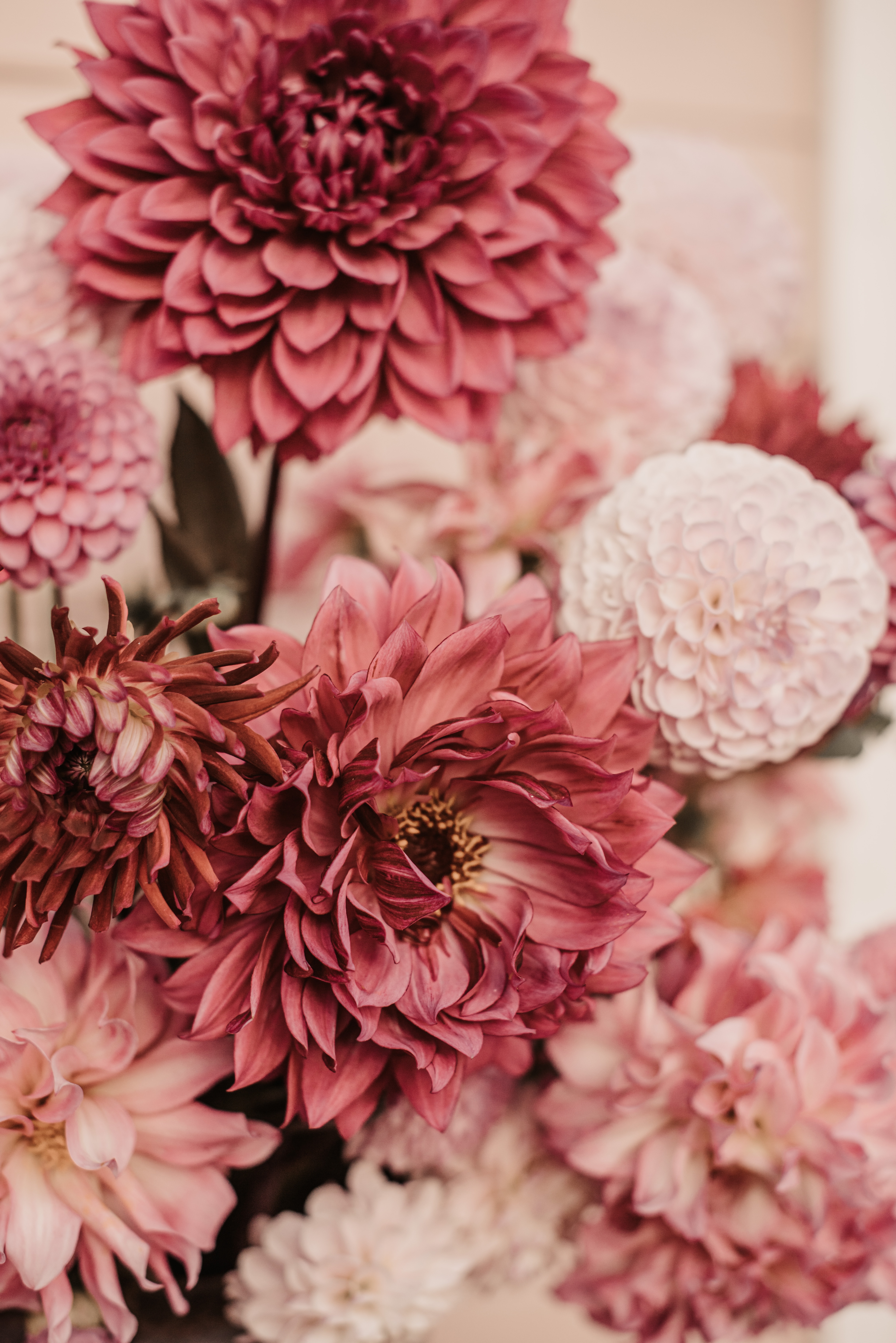 Bouquet HD download for free