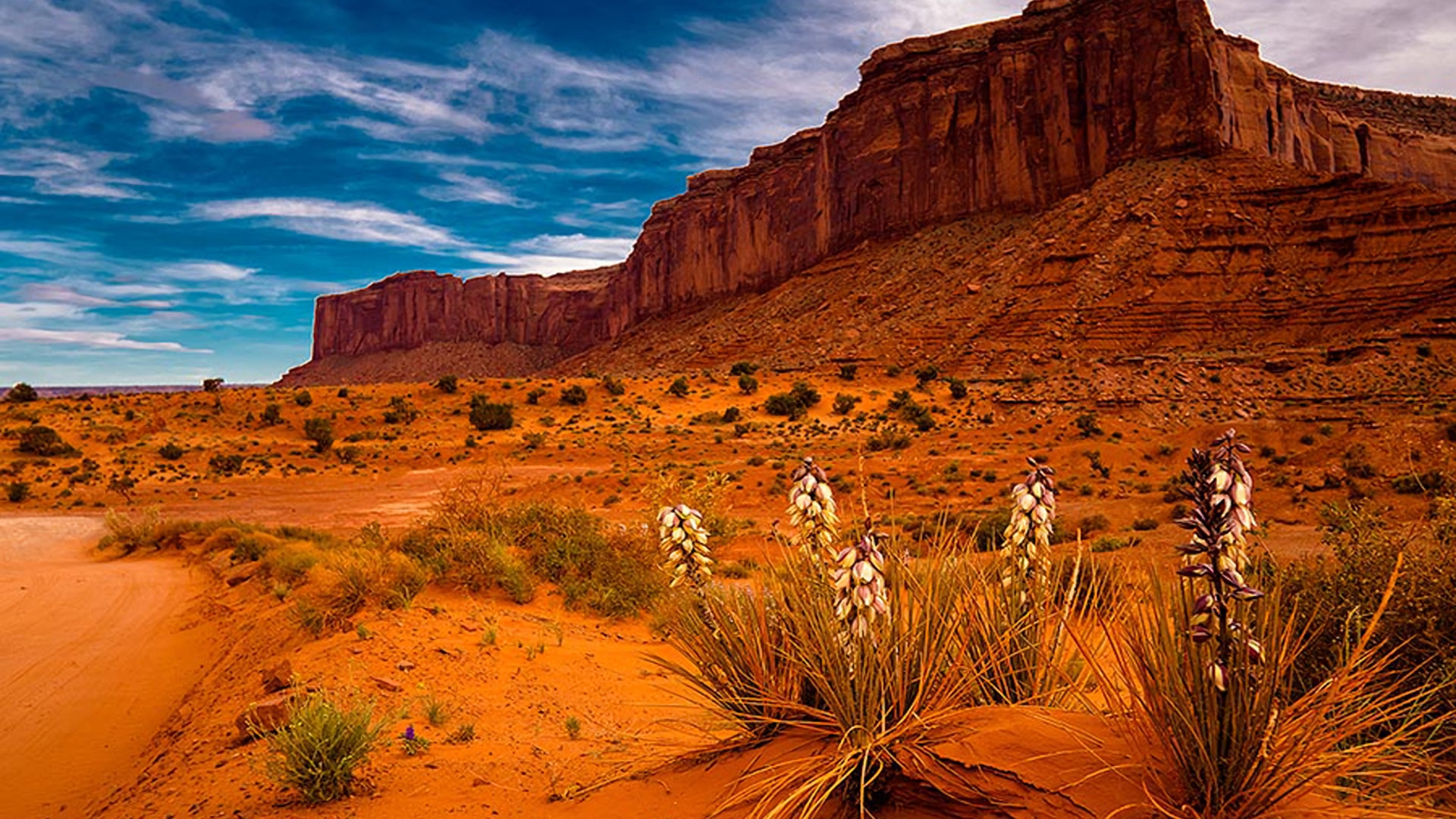 774750 descargar fondo de pantalla tierra/naturaleza, desierto, arizona, planta, sedona: protectores de pantalla e imágenes gratis