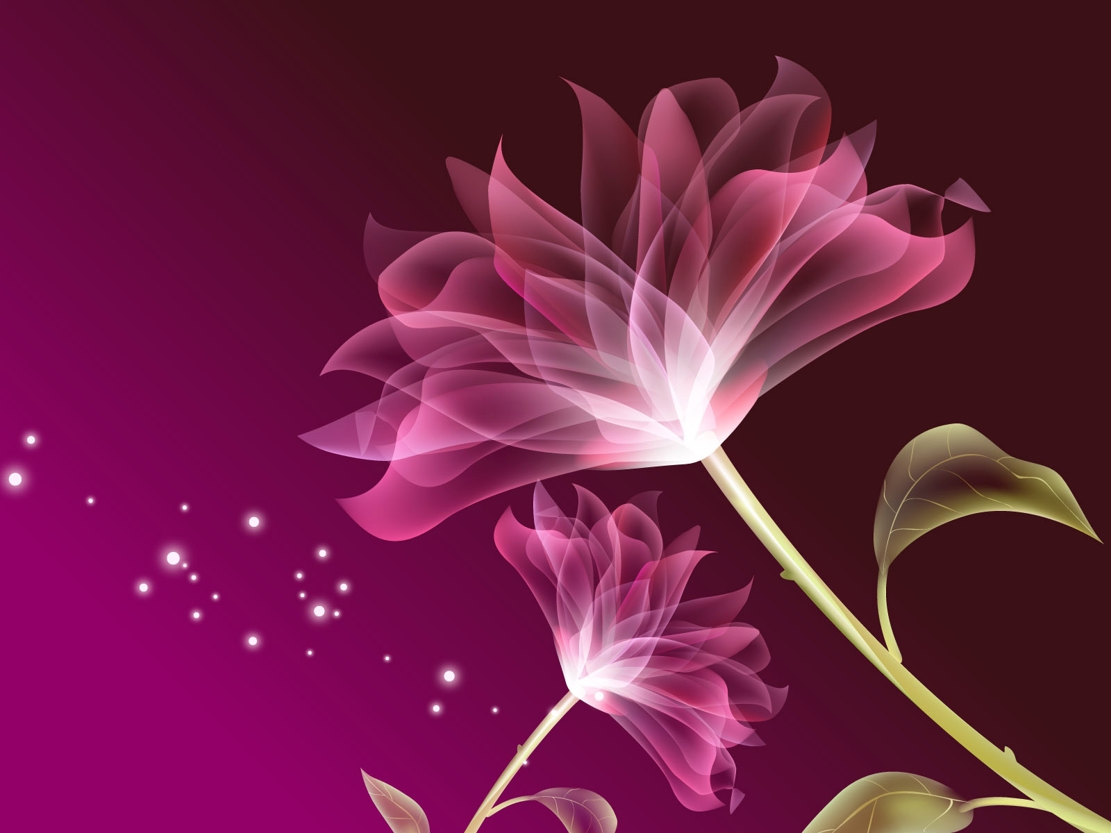 flowers, pictures, plants, red wallpapers for tablet