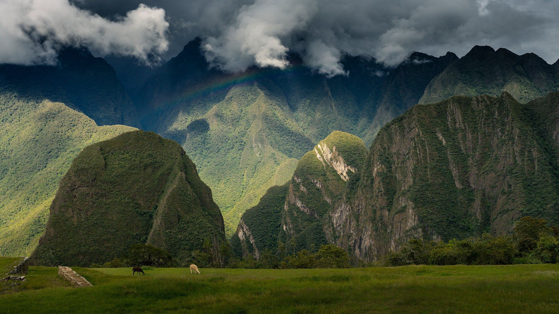 101989画像をダウンロード自然, スカイ, 山脈, ペルー, マチュピチュ, アンデス, アンデス山脈, インカの城塞, インカ シタデル-壁紙とスクリーンセーバーを無料で