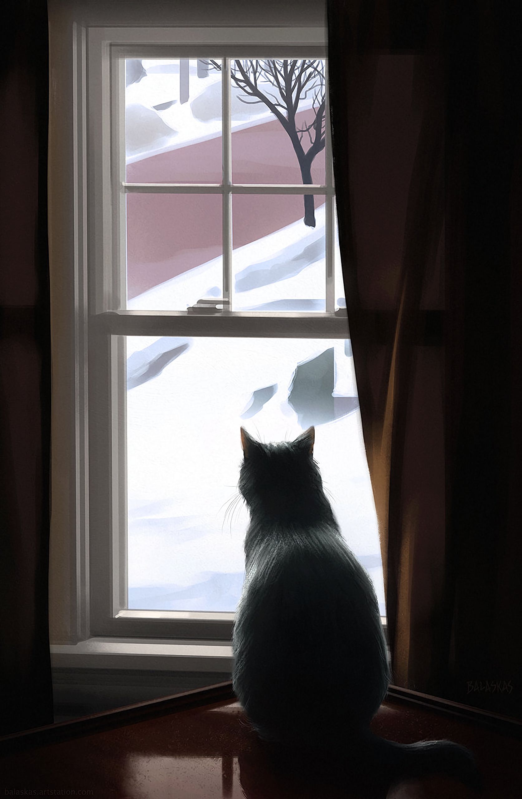 免费下载动物, 冬天, 窗户, 窗口, 舒适度, 舒适, 猫手机壁纸。