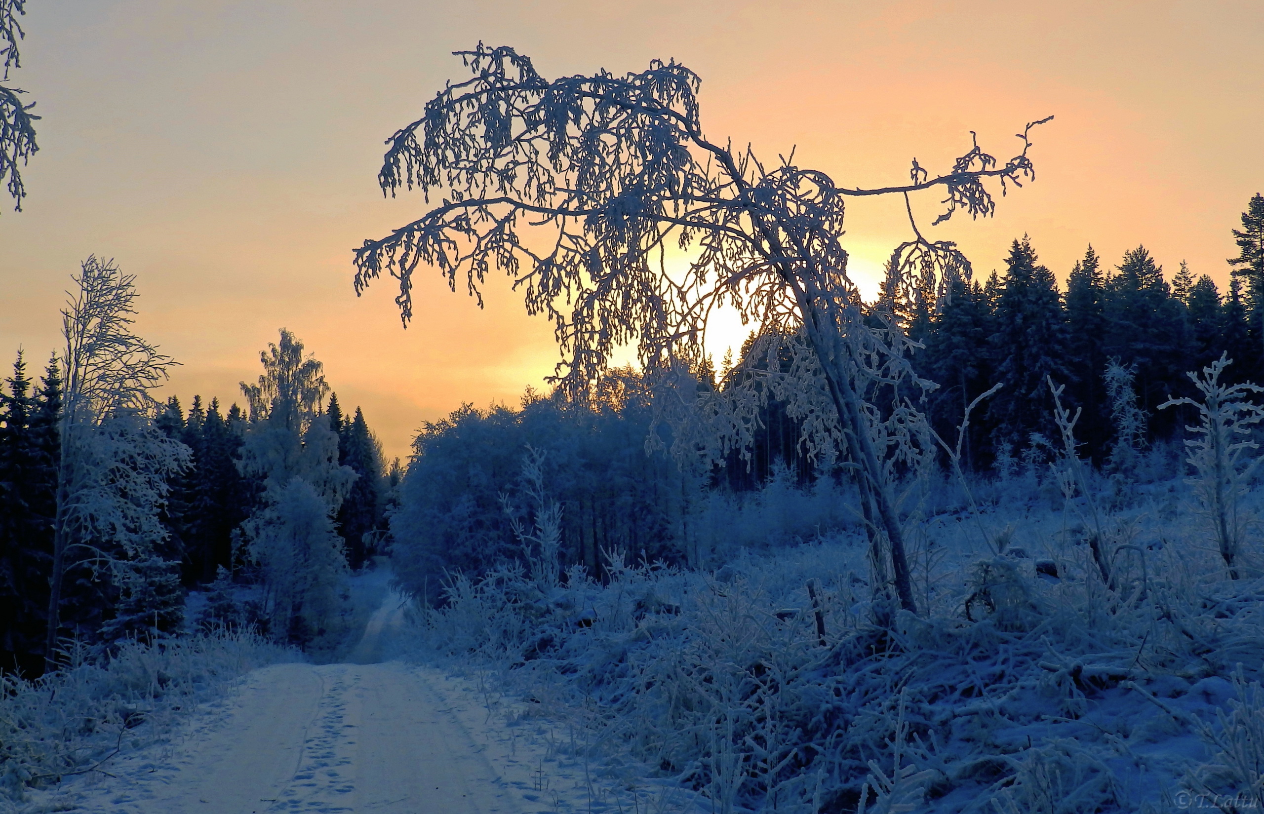776837 Bildschirmschoner und Hintergrundbilder Winter auf Ihrem Telefon. Laden Sie  Bilder kostenlos herunter