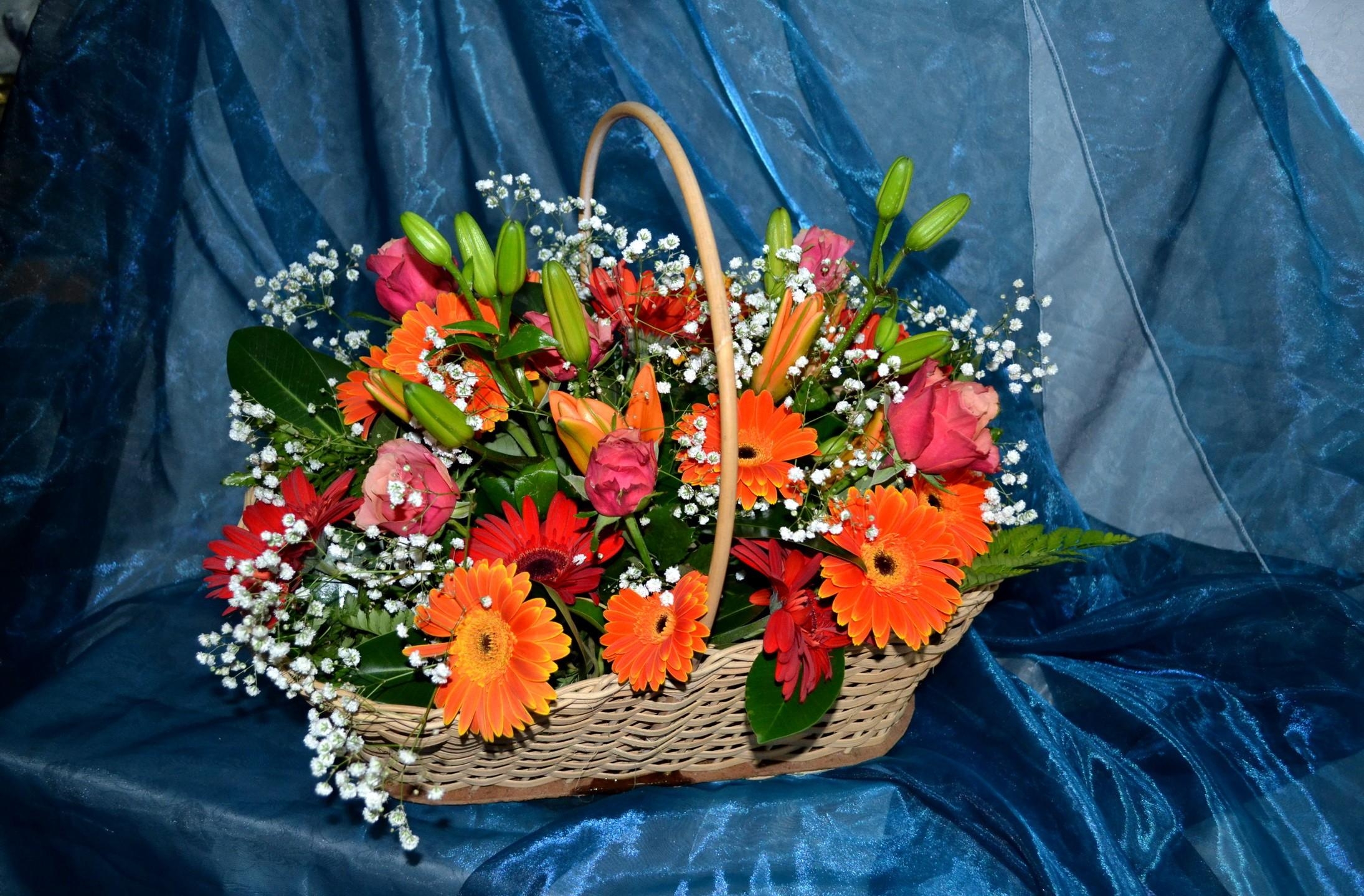desktop Images flowers, roses, lilies, gerberas, cloth, gypsophilus, gipsophile, basket, composition