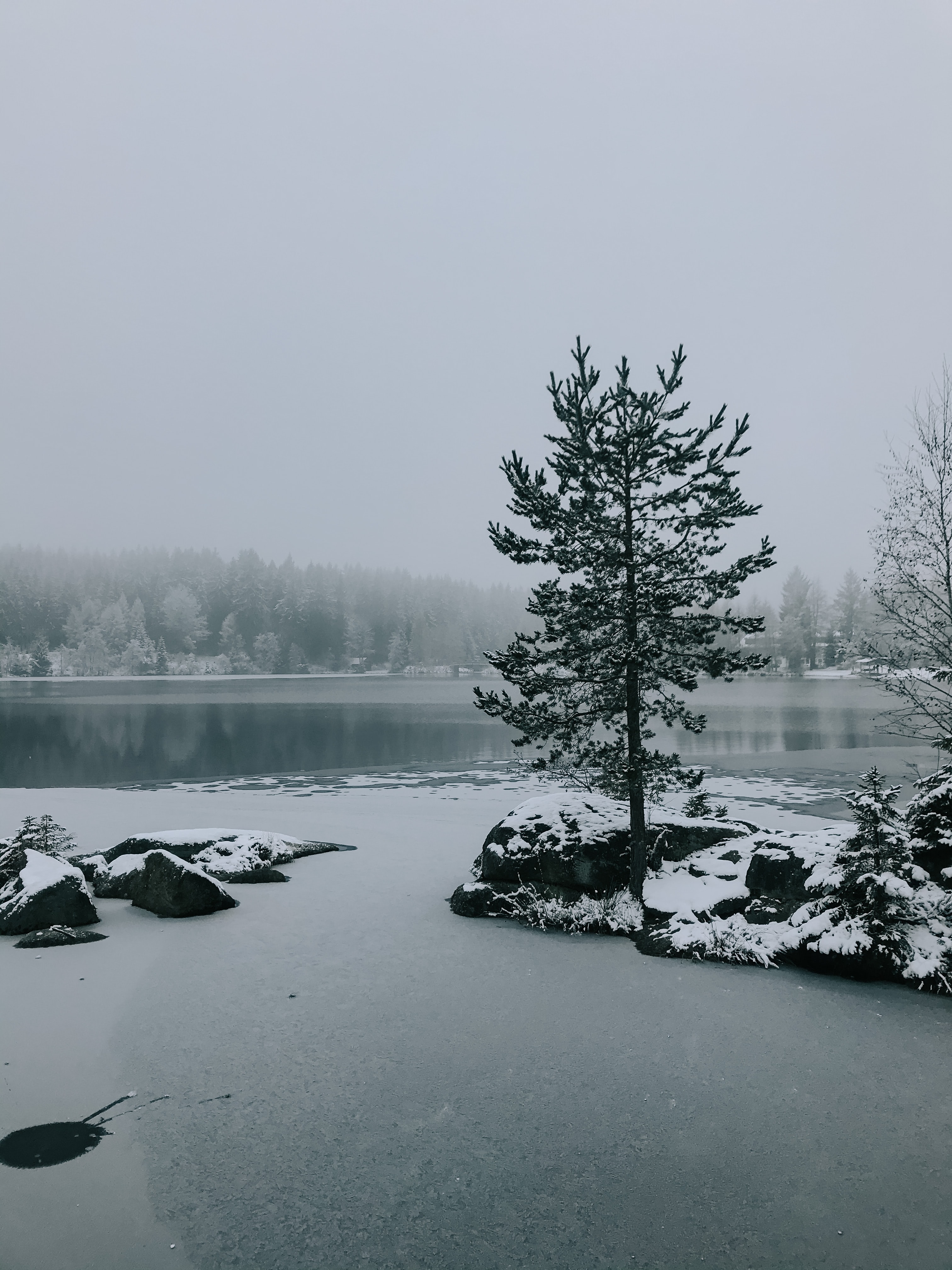 snow, nature, landscape, winter, lake, wood, tree