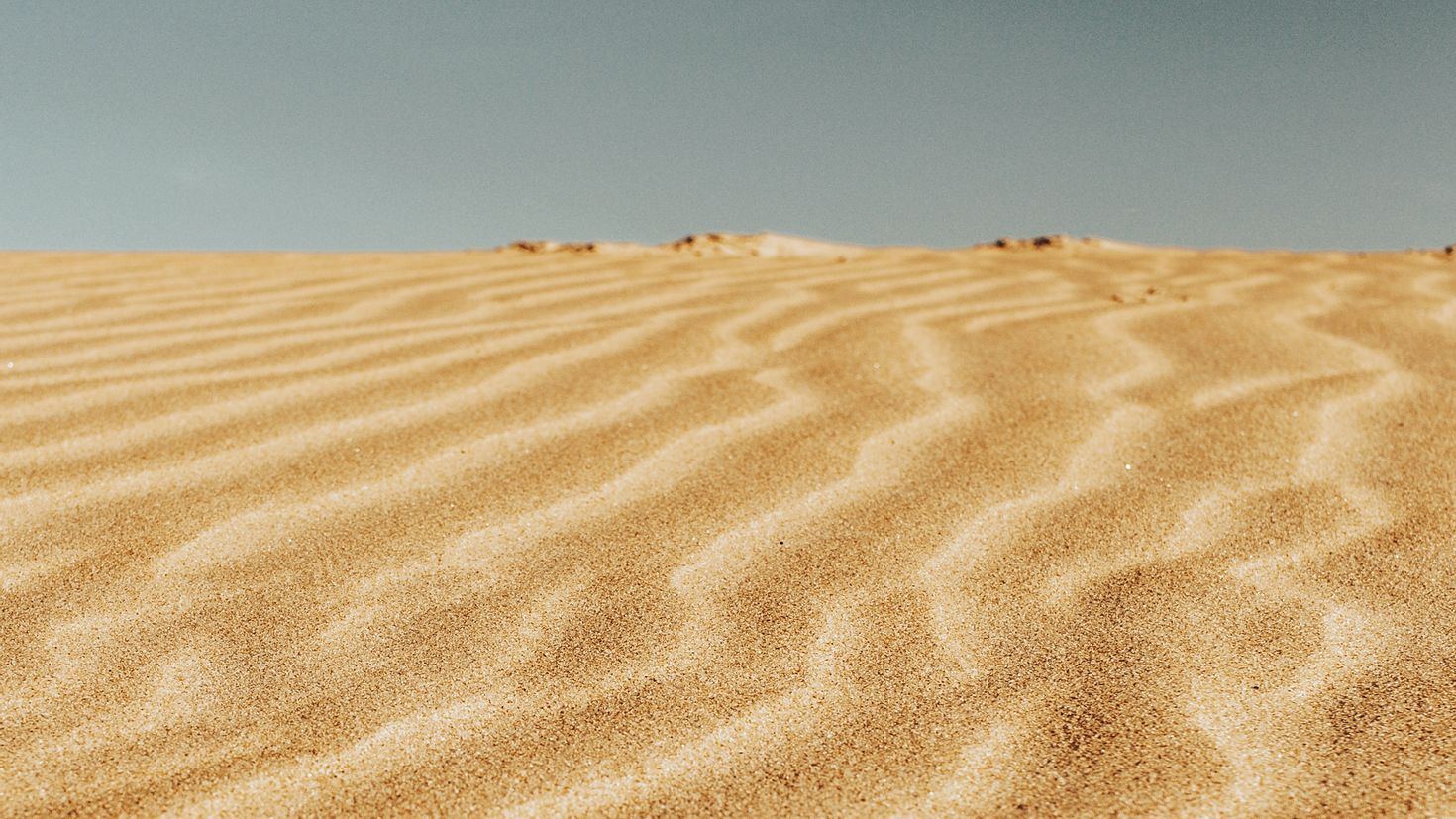 5. Песчаные дюны в сычёво