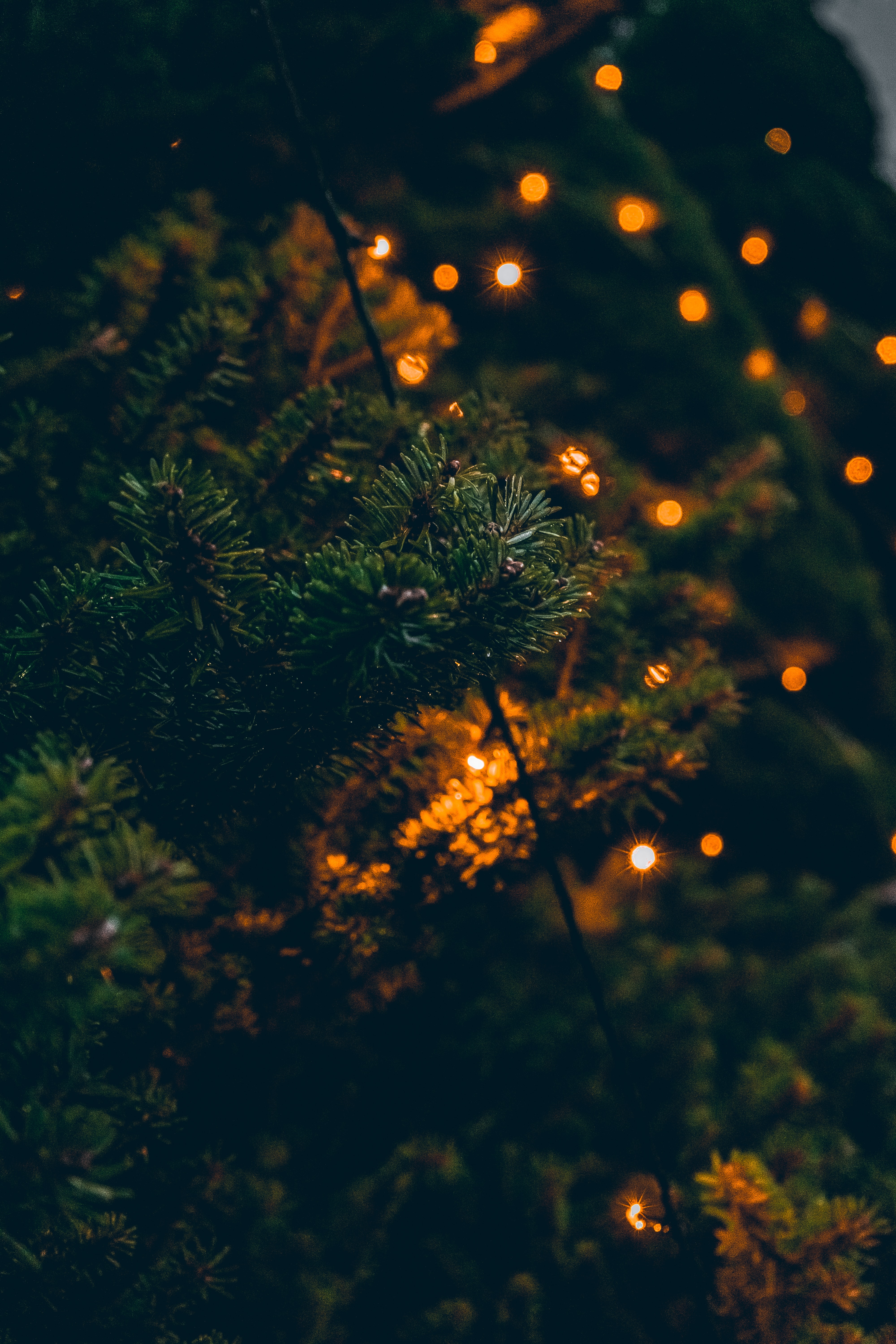 garland, branches, holidays, lights, glare, christmas tree HD wallpaper