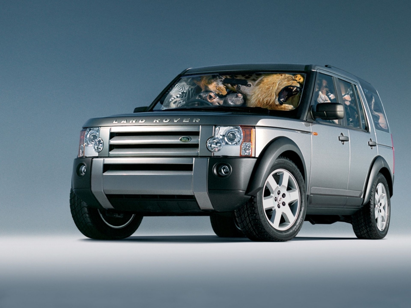 Скачать картинку Транспорт, Машины, Рендж Ровер (Range Rover) в телефон бесплатно.