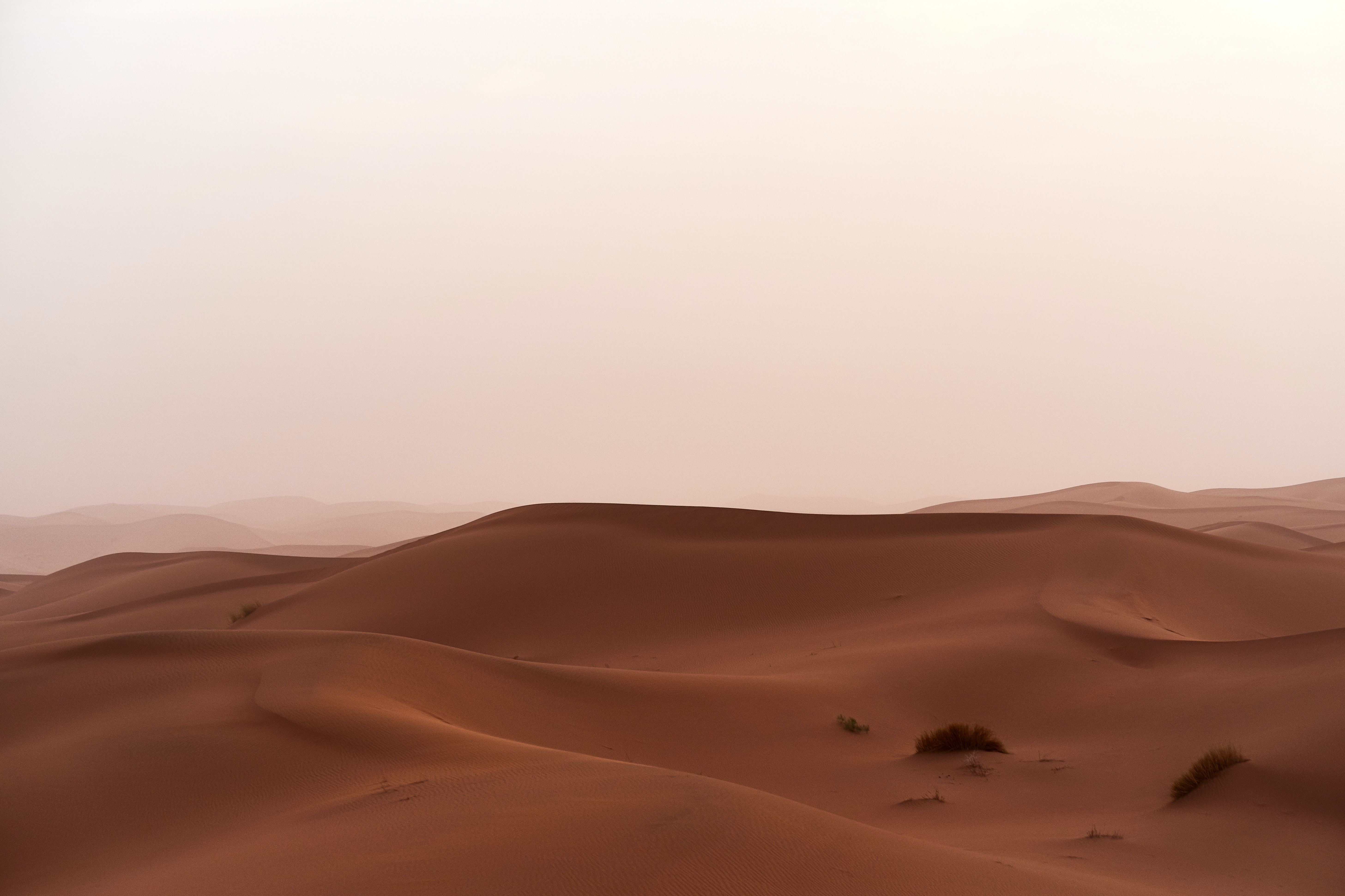 sand, dunes, grass, nature, desert, horizon 32K