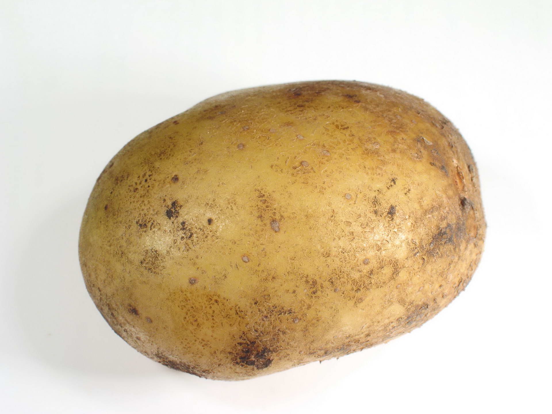 Картошка фото для детей