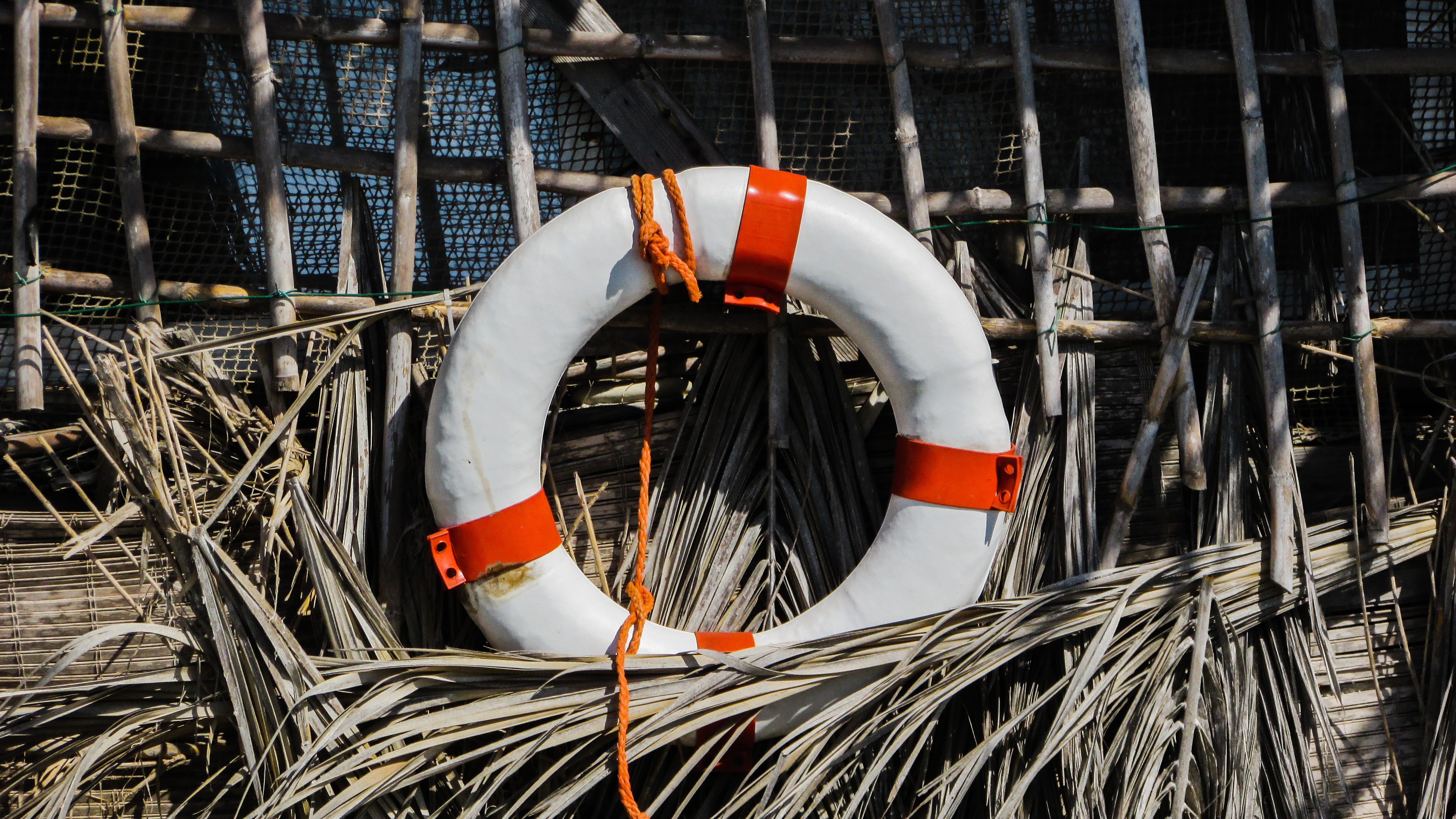 miscellanea, miscellaneous, reeds, equipment, lifebuoy, life buoy HD wallpaper