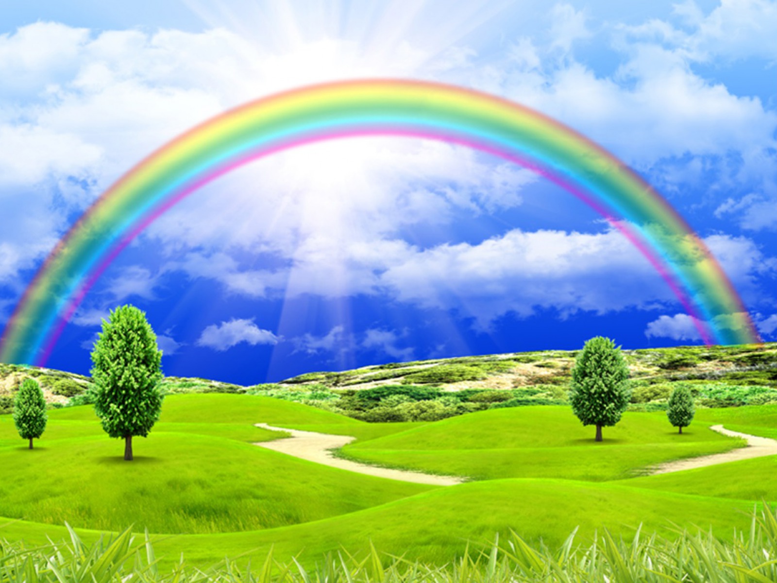 Animated Tree Wallpaper Backgrounds Rainbow Download Hd Picture Wallpaper  Background Image And Wallpaper for Free Download