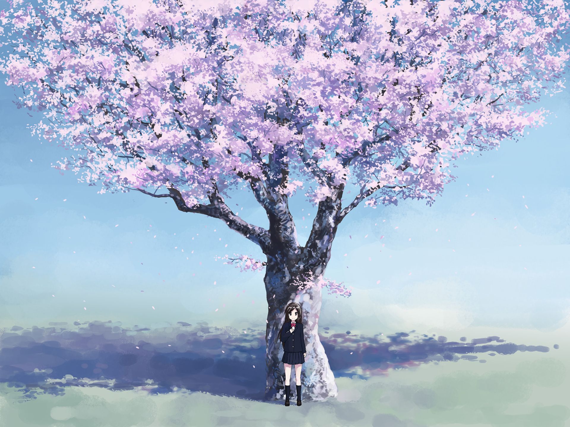 Big blossom. Сакура черри блоссом дерево.