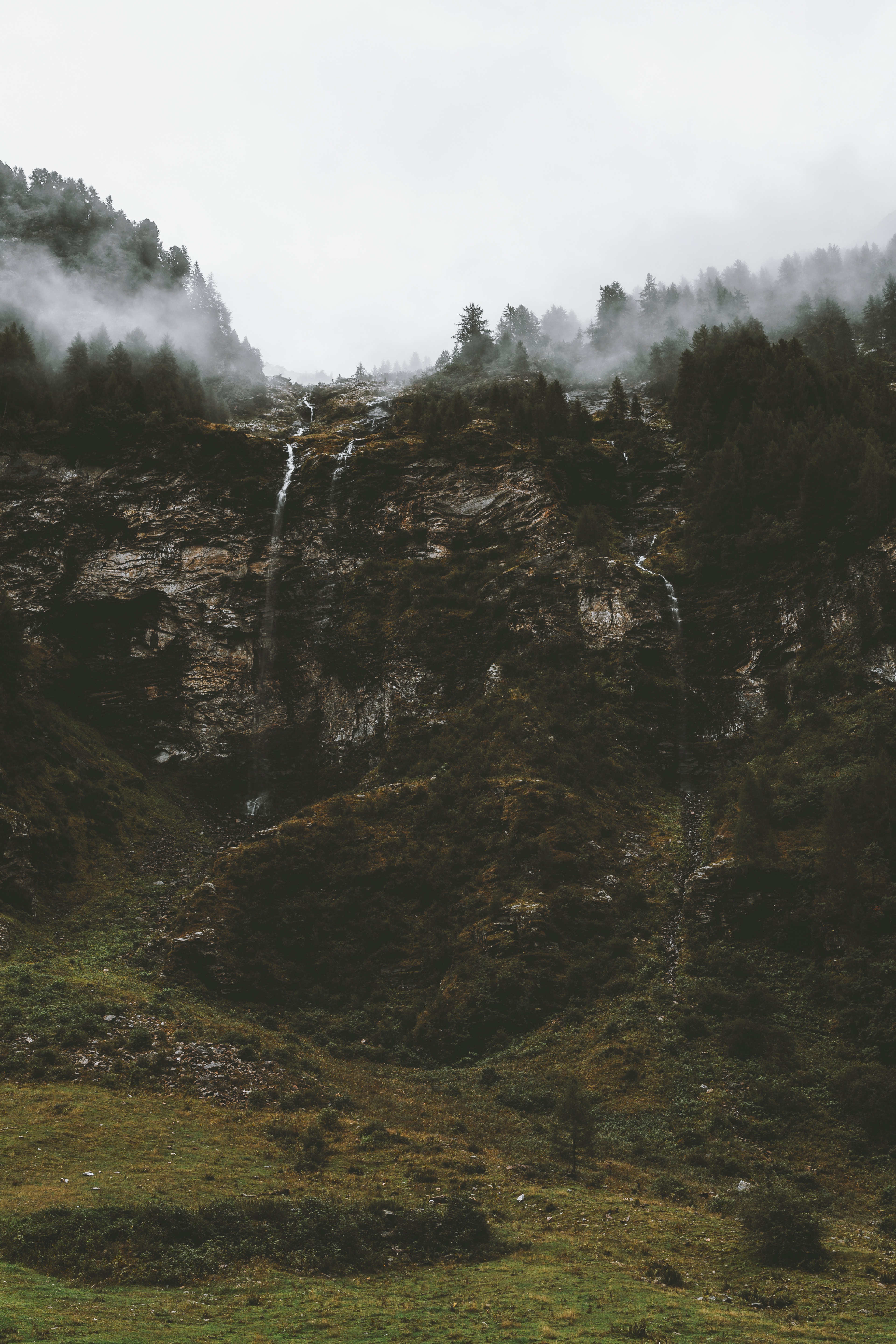 nature, trees, fog, break, precipice, brooks, streams cellphone