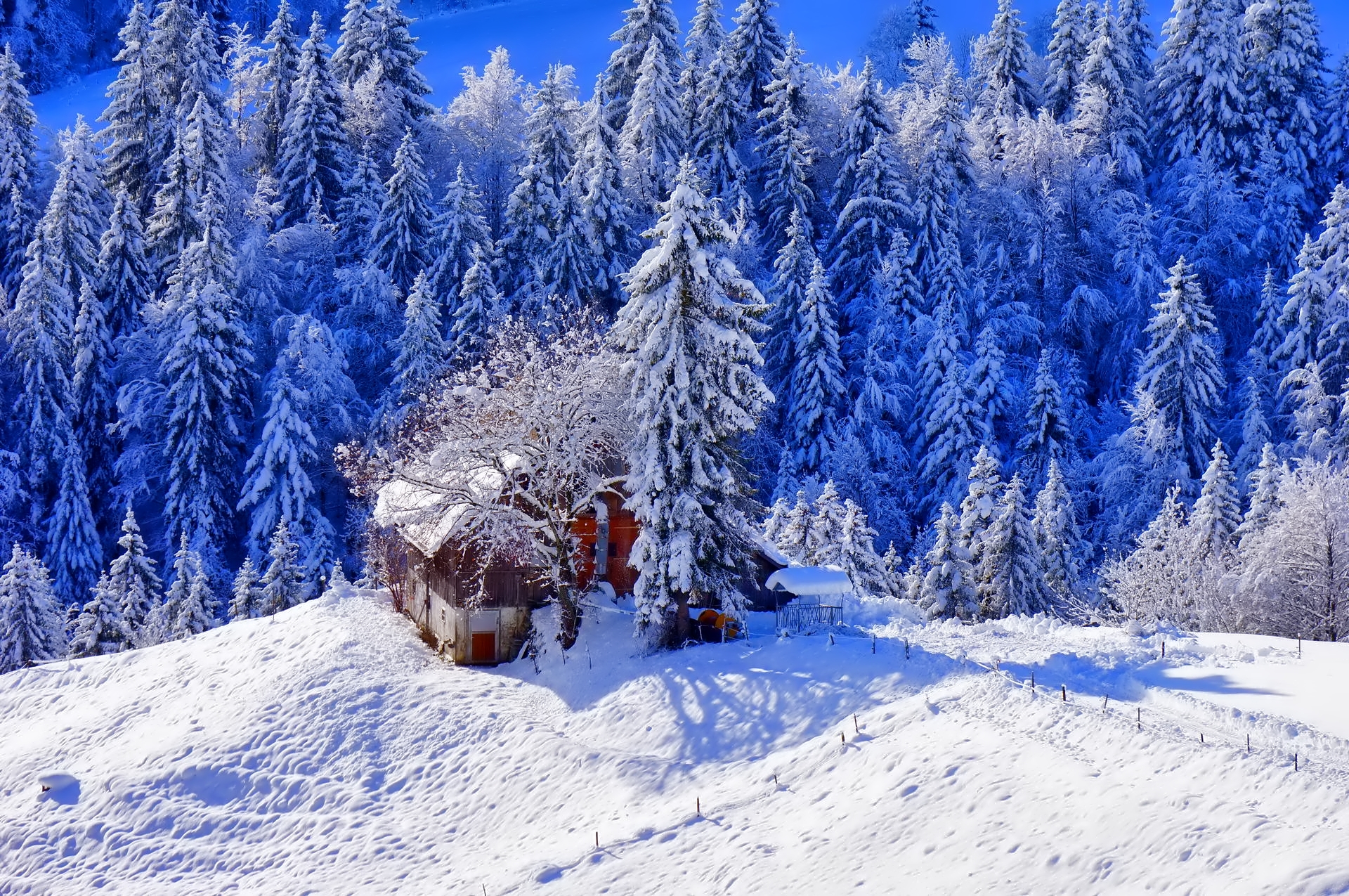 Free download wallpaper Elevation, Trees, Lodge, Nature, Snow, Winter, Small House on your PC desktop