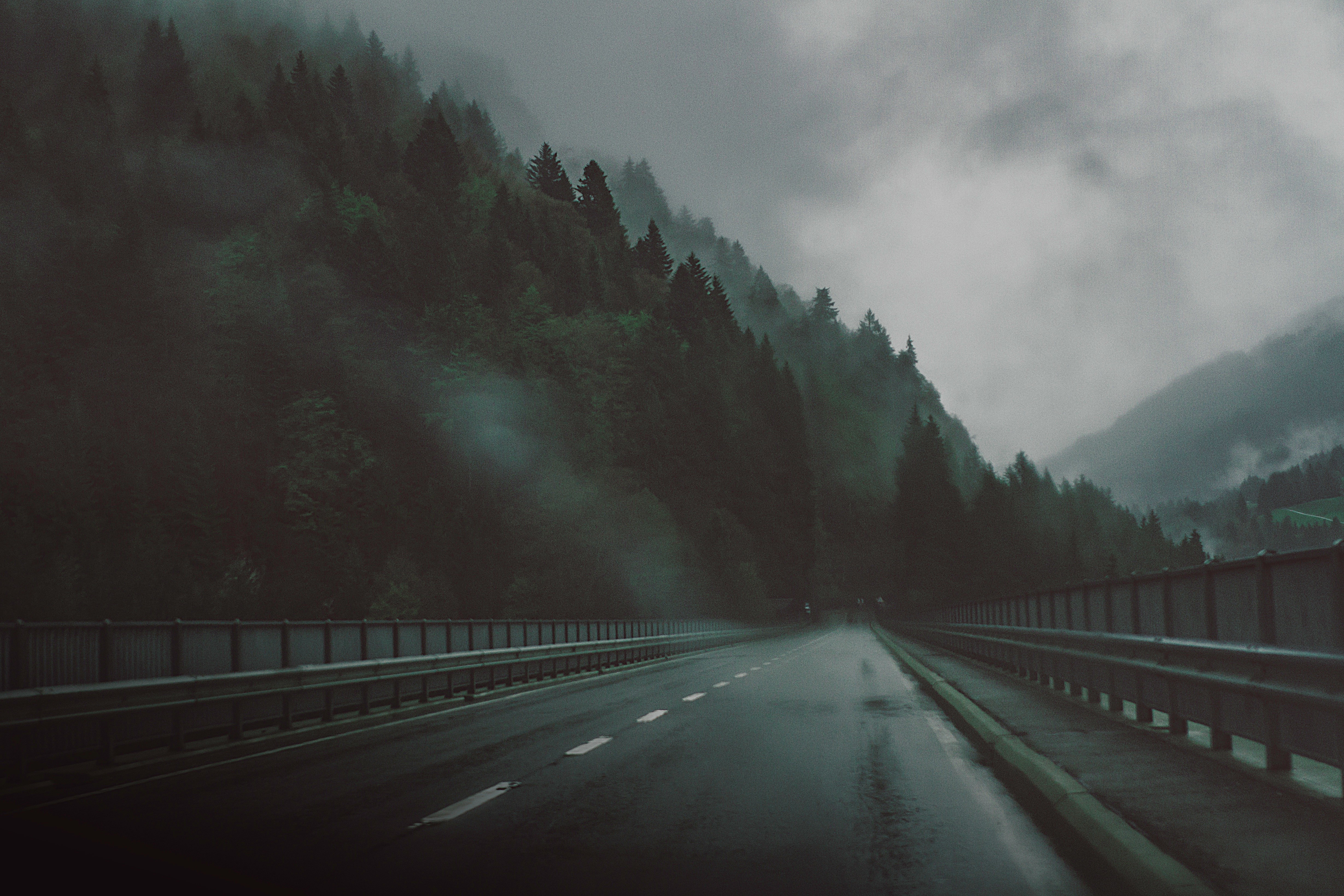 Download mobile wallpaper Road, Tree, Fog, Highway, Man Made for free.